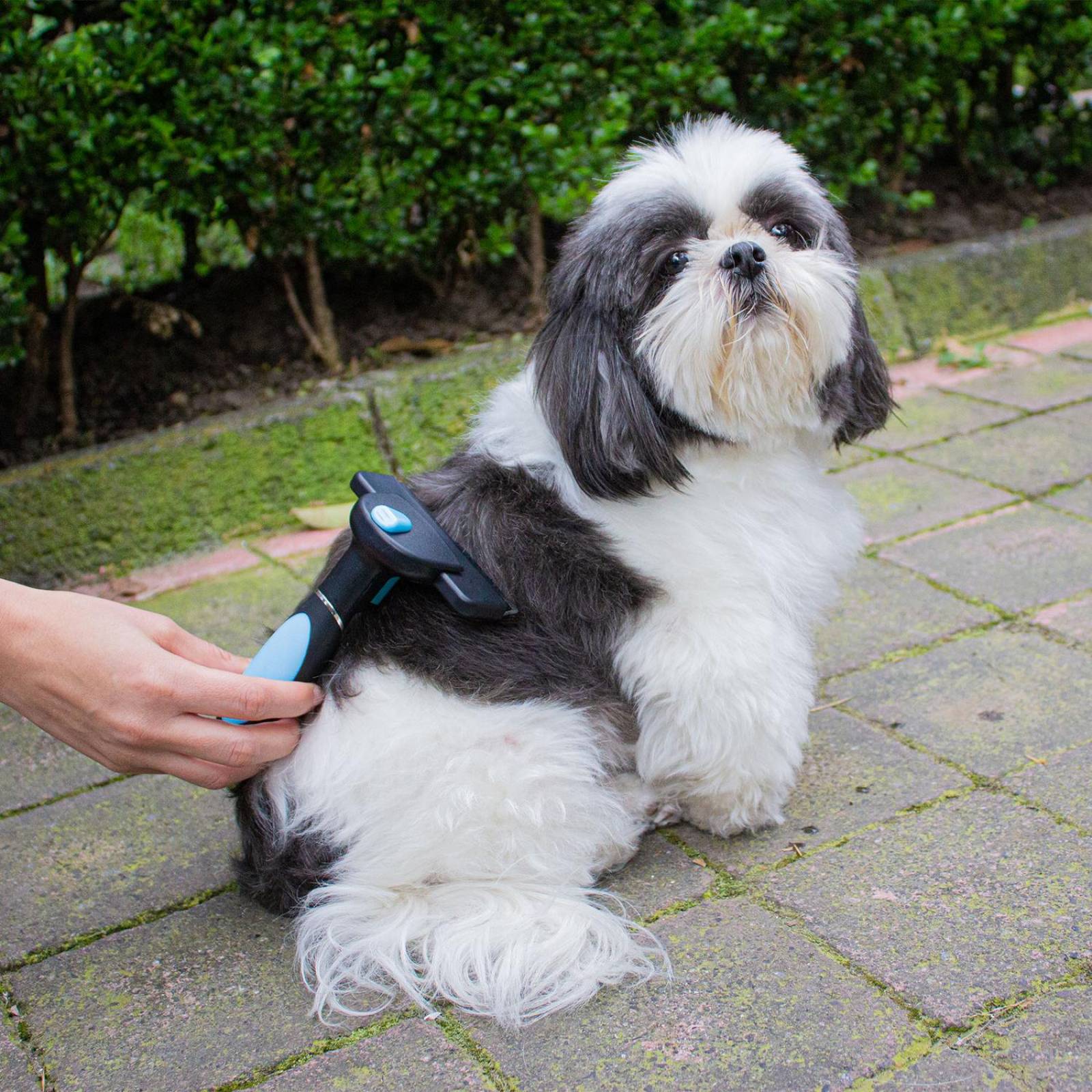 Cepillo para Mascotas Mr. Pets Grande, Deslanador Quita Pelo