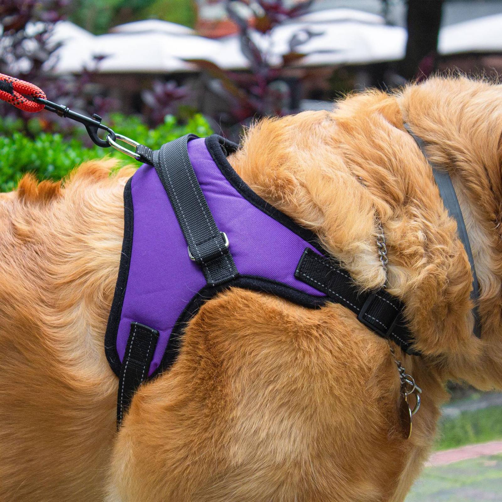 Pechera Arnés para Perro Mr. Pets, Reflectante Ajustable 