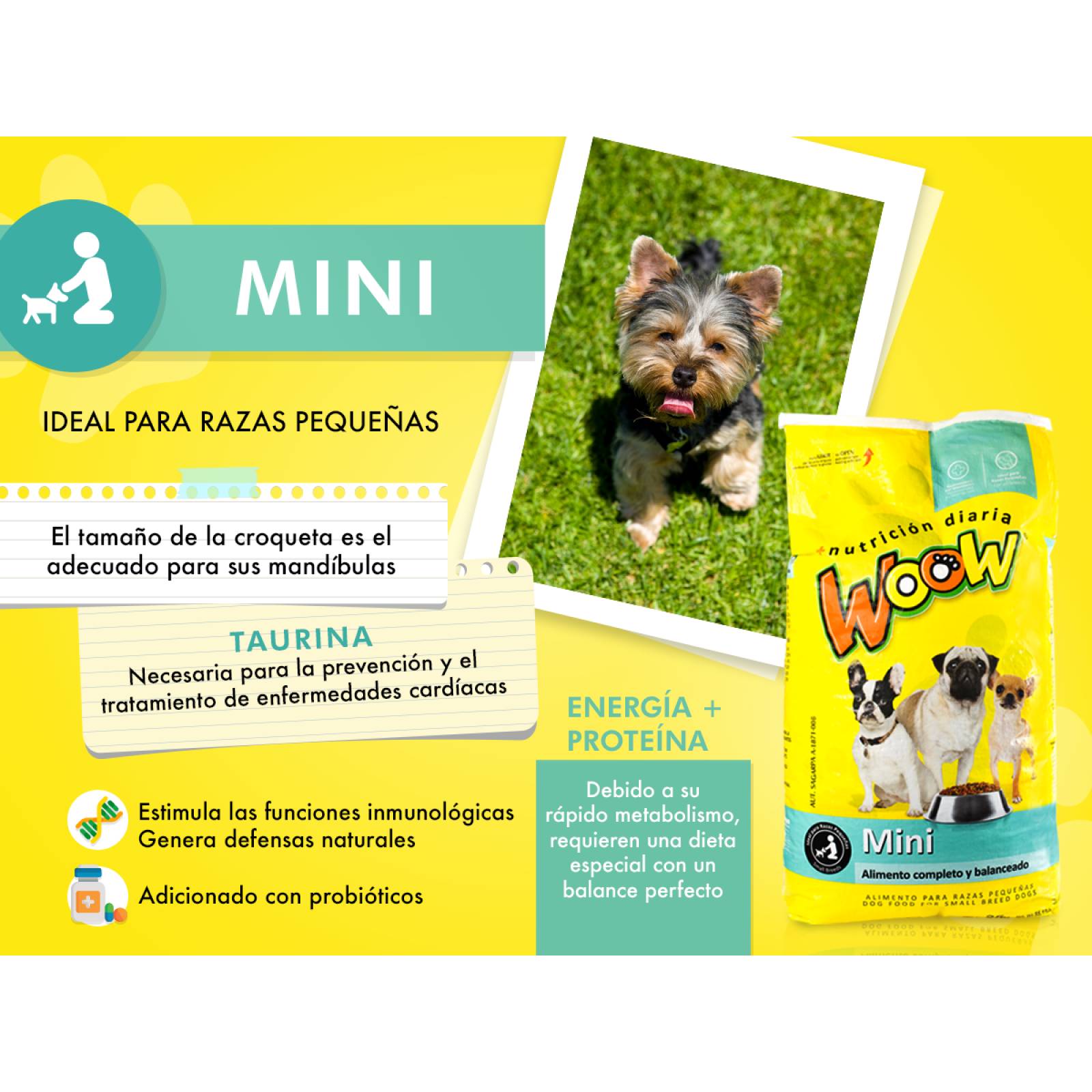 Woow Mini 25kg