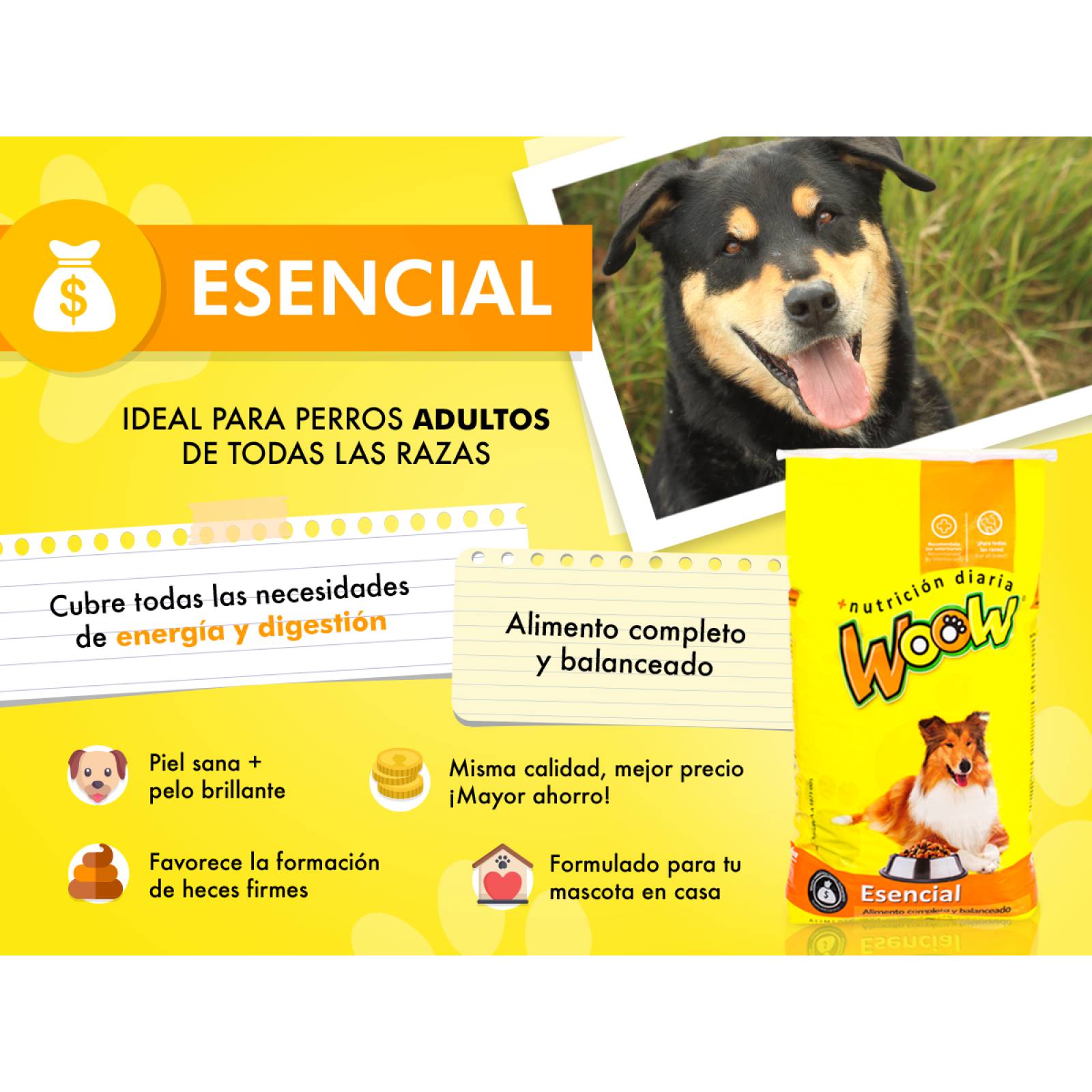 Woow Esencial 20kg
