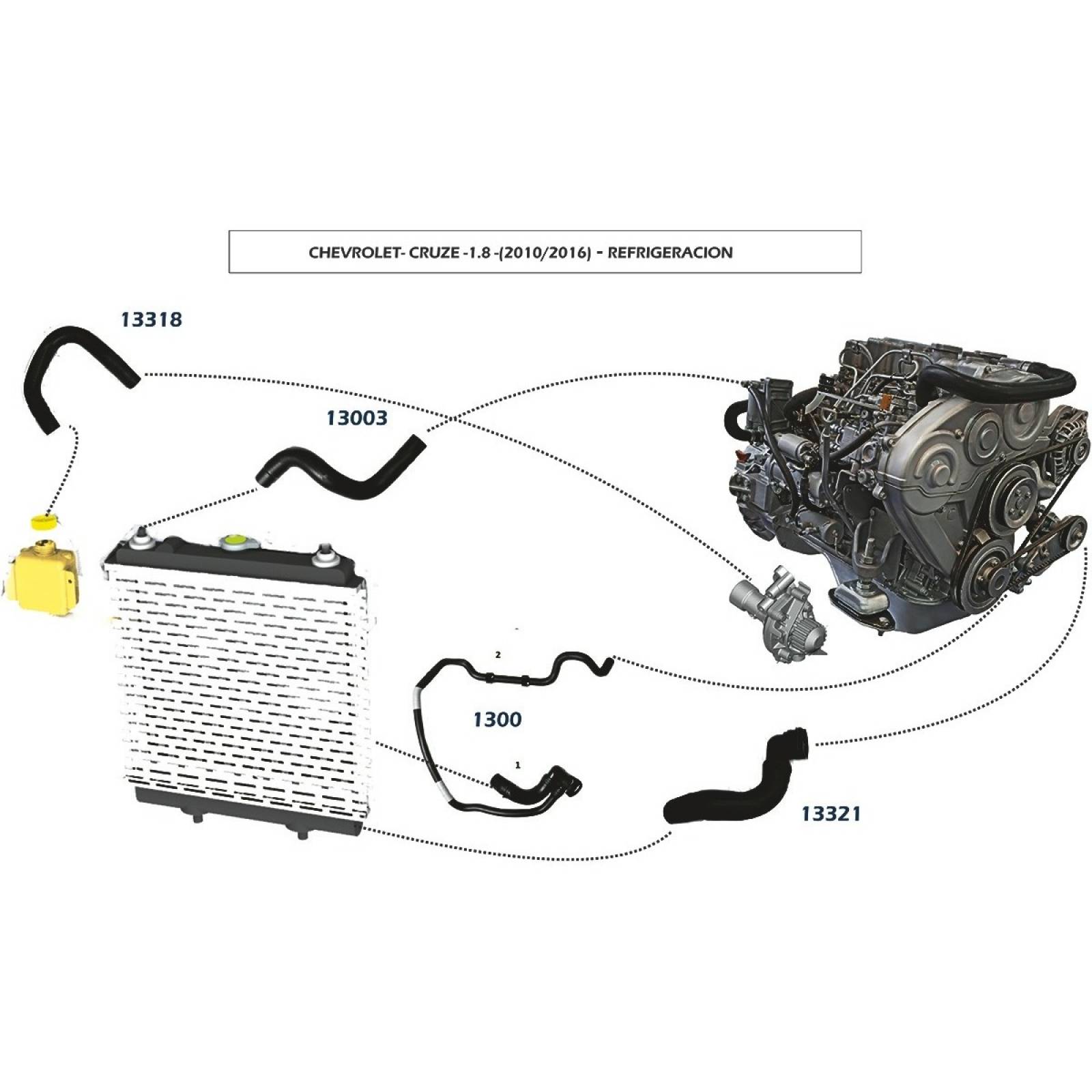 Manguera Radiador Cruze 2010 1.8 Inferior