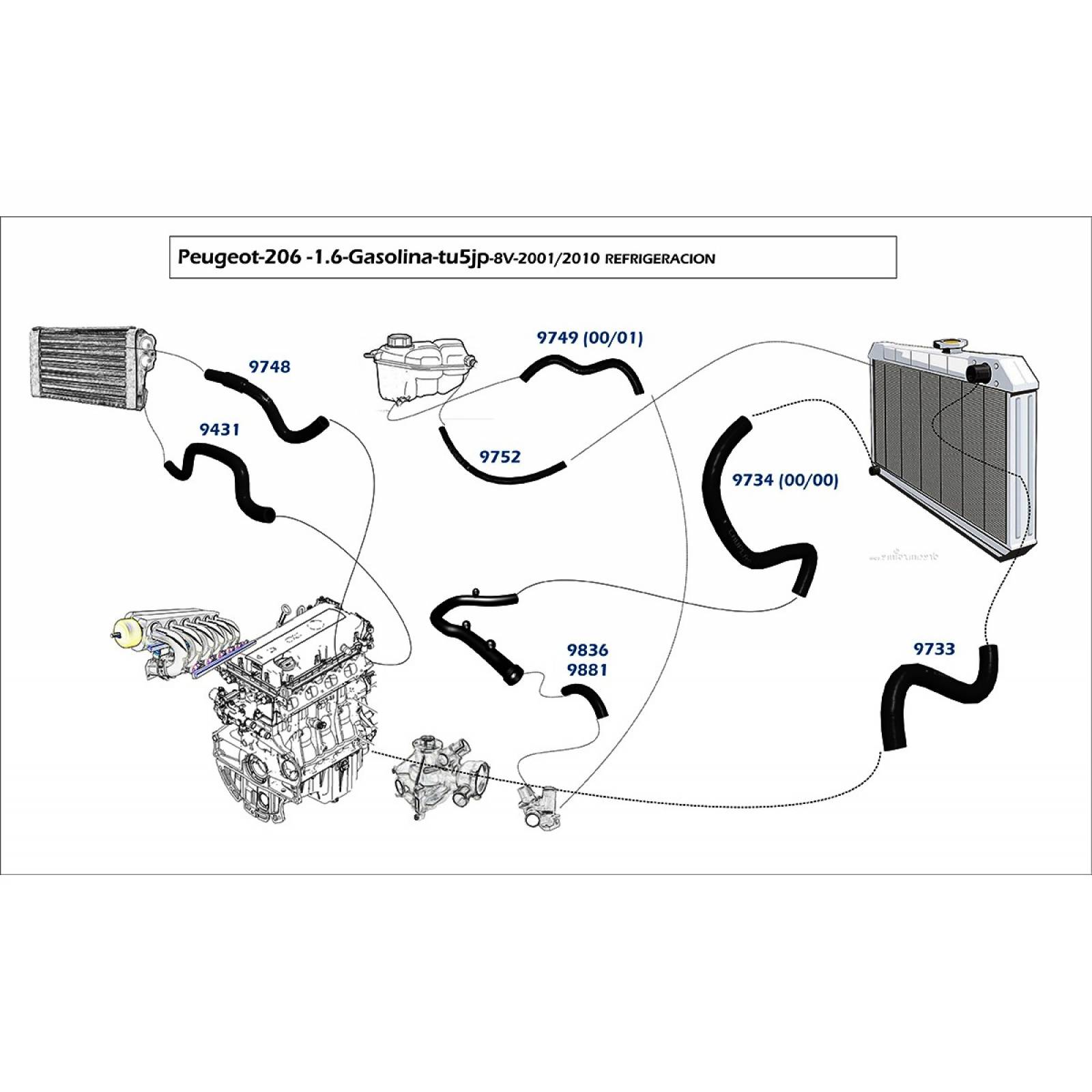 Manguera Refrigeracion Peugeot 206 00-02 L4 1.4