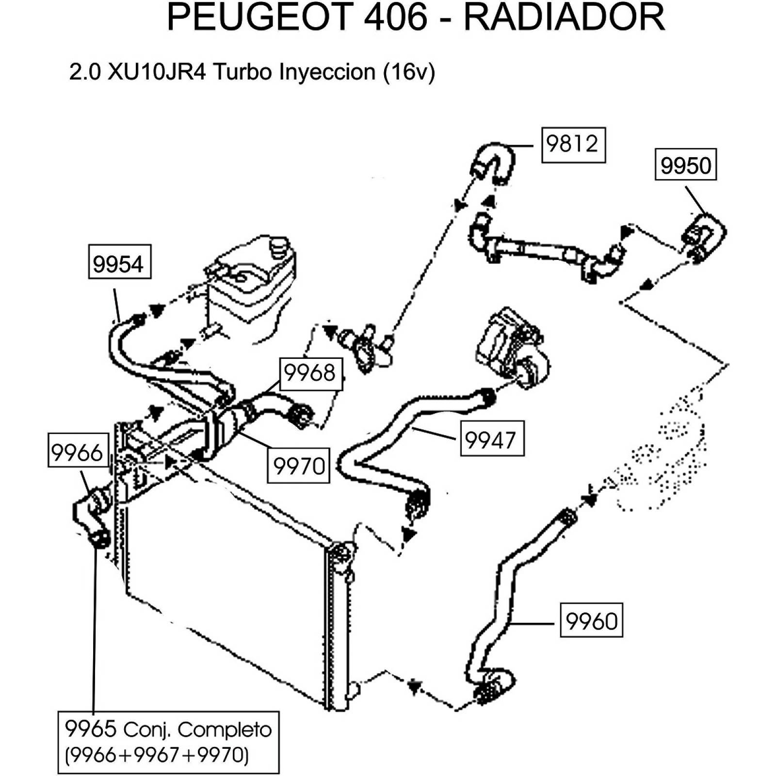 Manguera Radiador Peugeot 406 2001-2005 2.0 Inferior