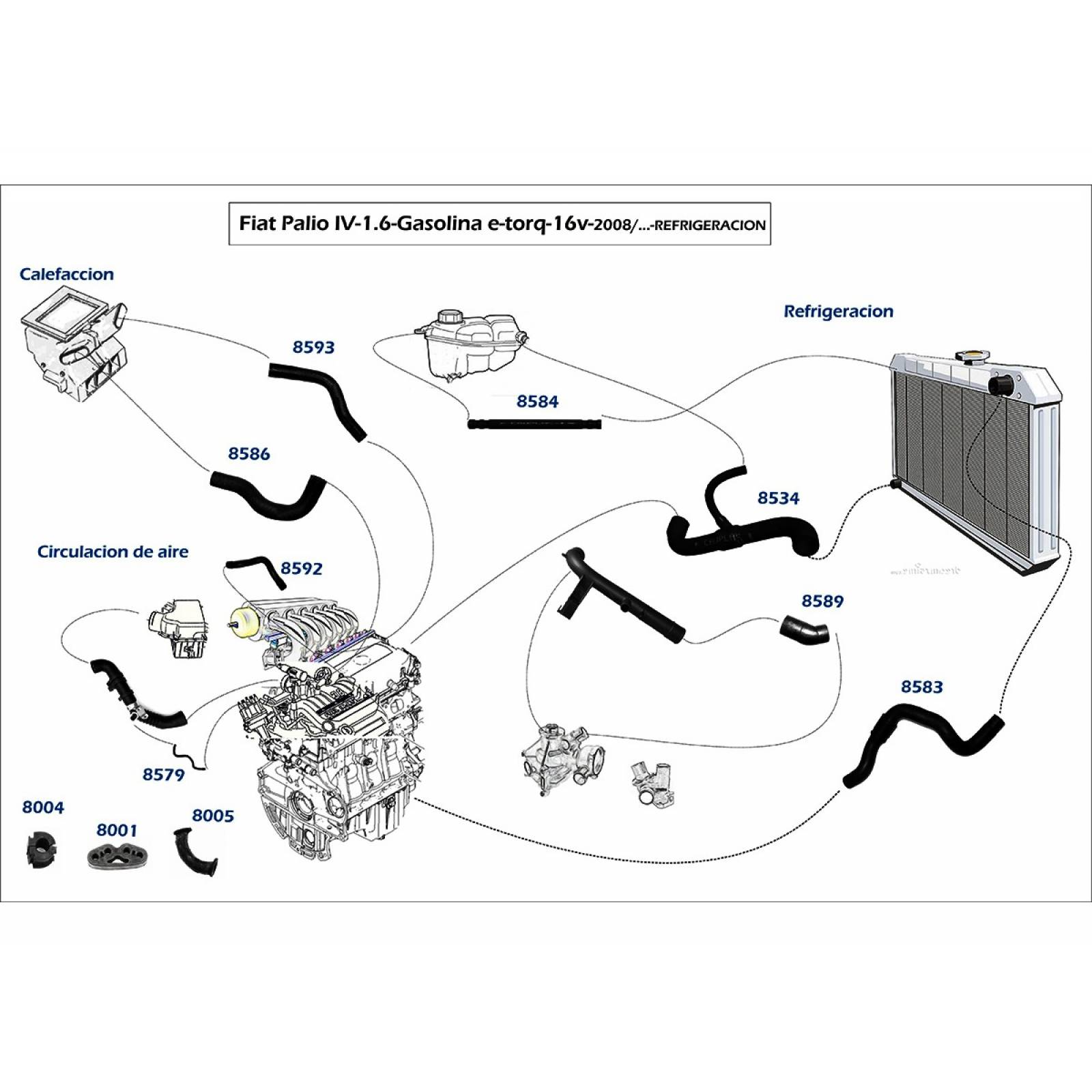Manguera Radiador Ram 700 2015-2019 1.6 Superior