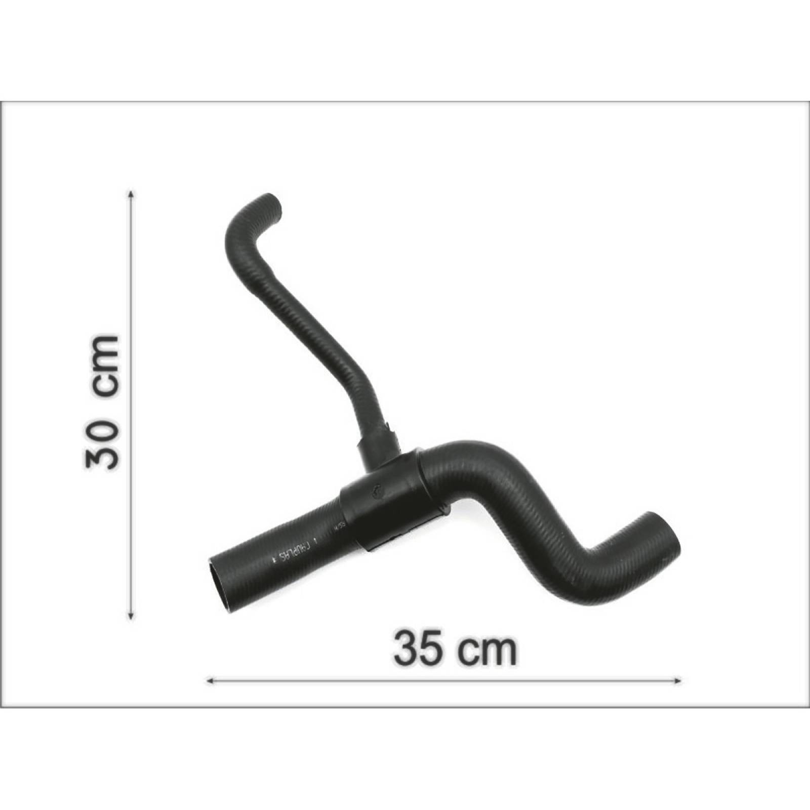 Manguera Radiador Focus 2002-2004 2.0 Inferior