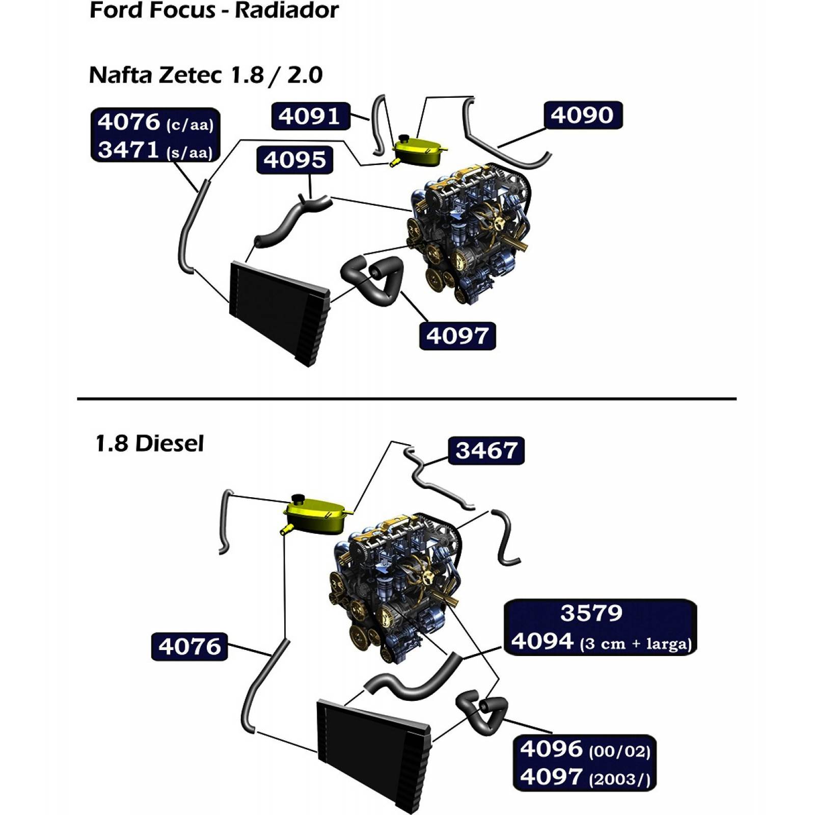 Manguera Radiador Focus 2002-2004 2.0 Inferior
