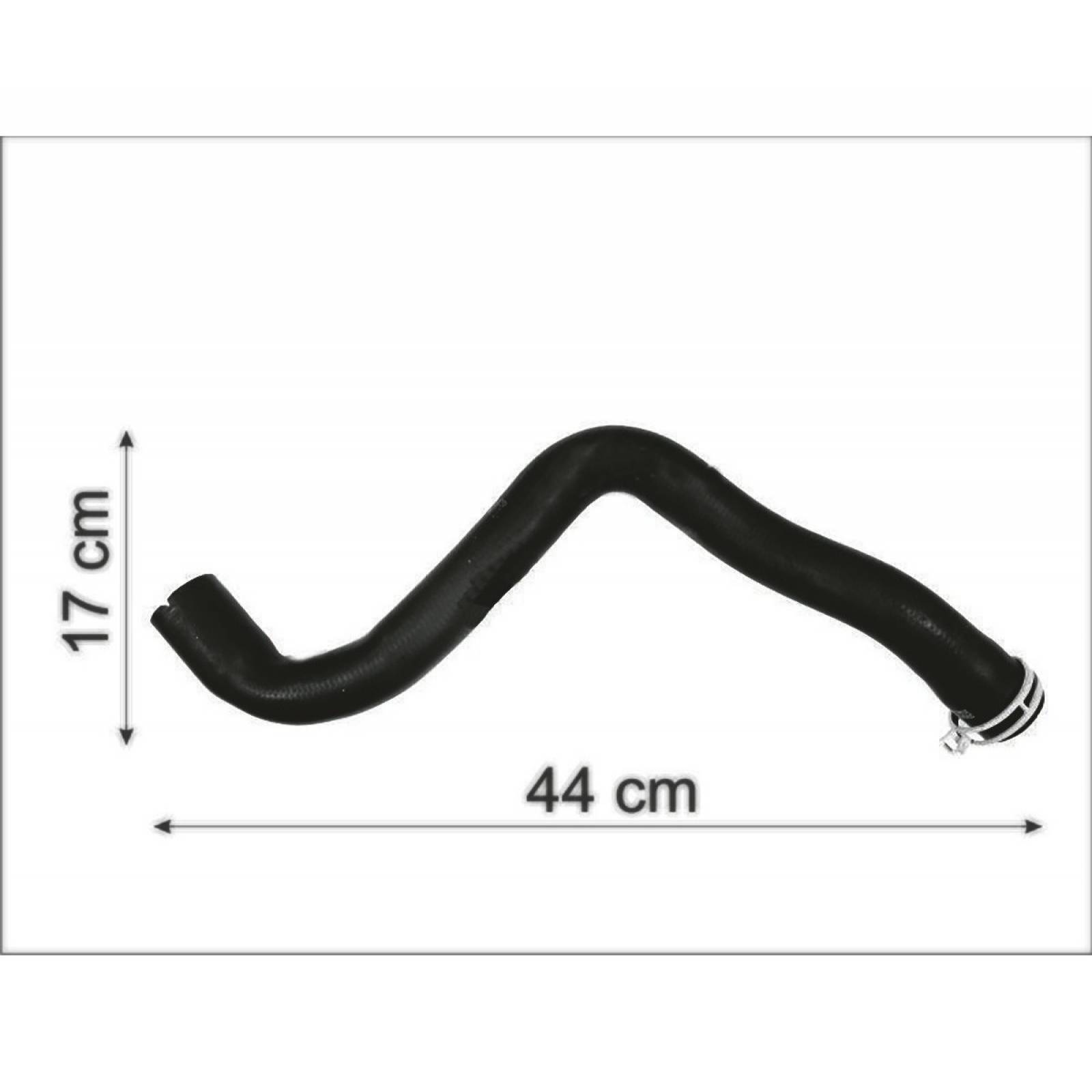 Manguera Radiador Focus 2009-2013 2.0 Superior