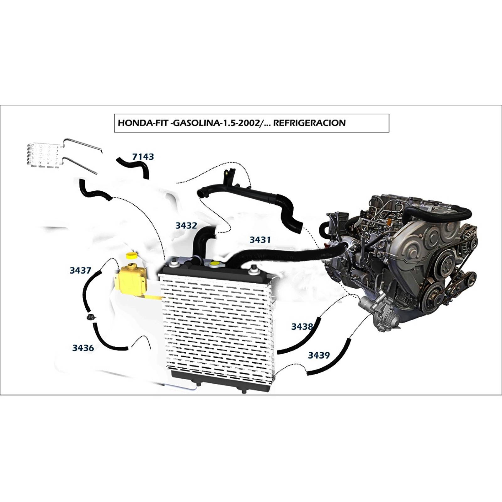 Manguera Radiador Honda Fit 2007-2008 1.5 Inferior