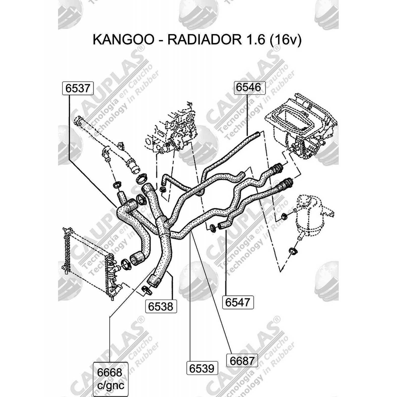 Manguera Radiador Platina 2001-2009 1.6 Inferior