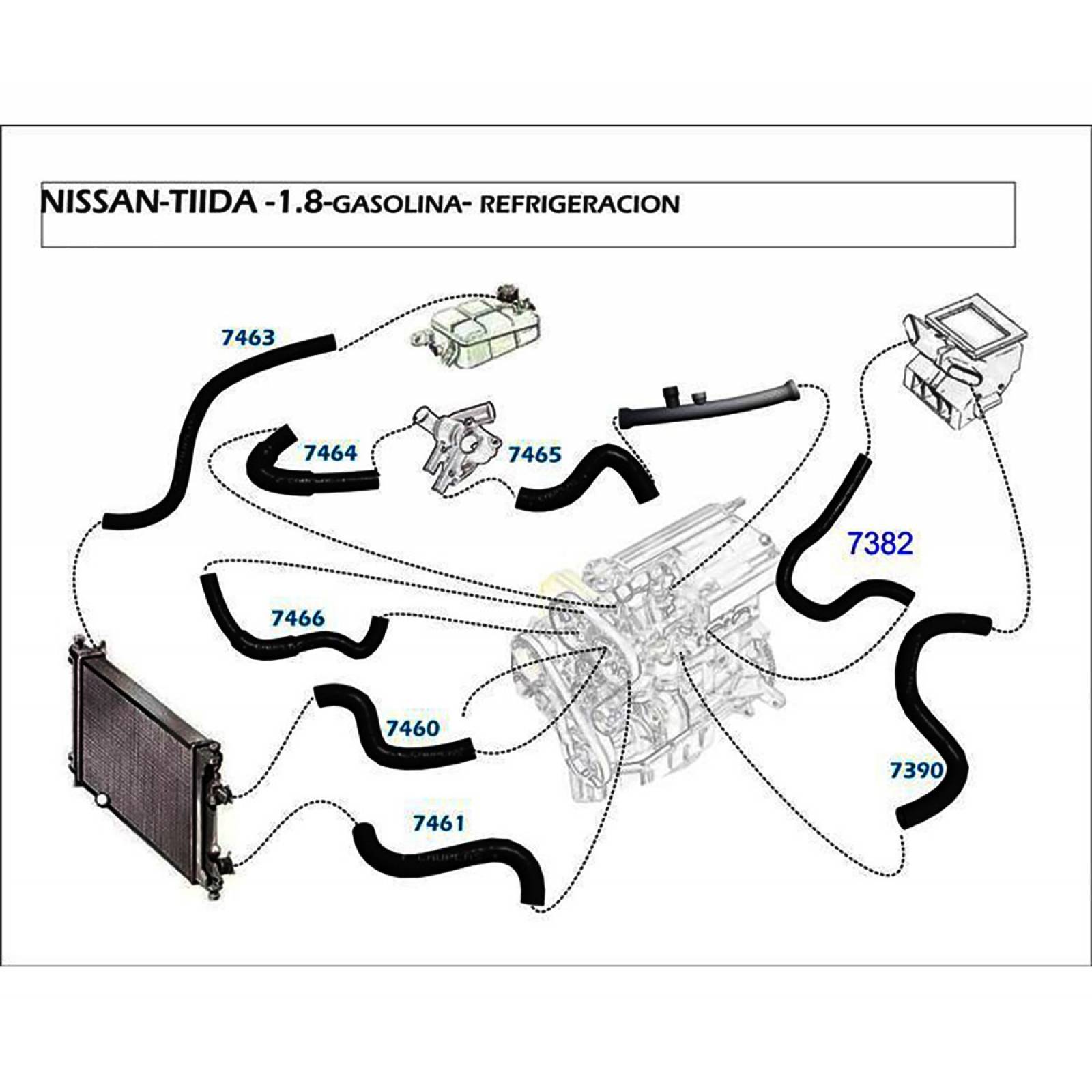 Manguera Radiador Tiida 2007-2017 1.8 Inferior