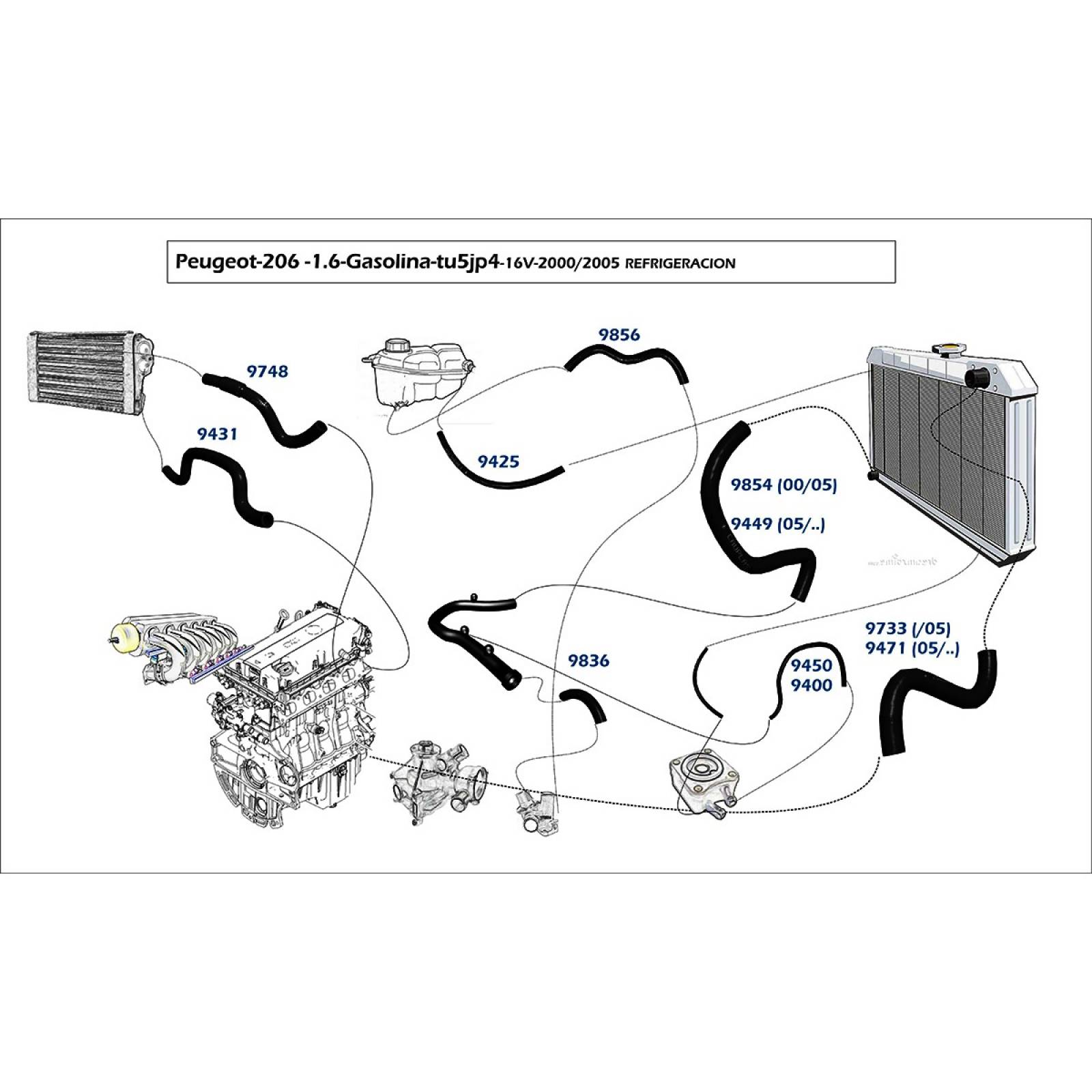 Manguera Radiador Peugeot 206 2001-2009 1.6 Inferior