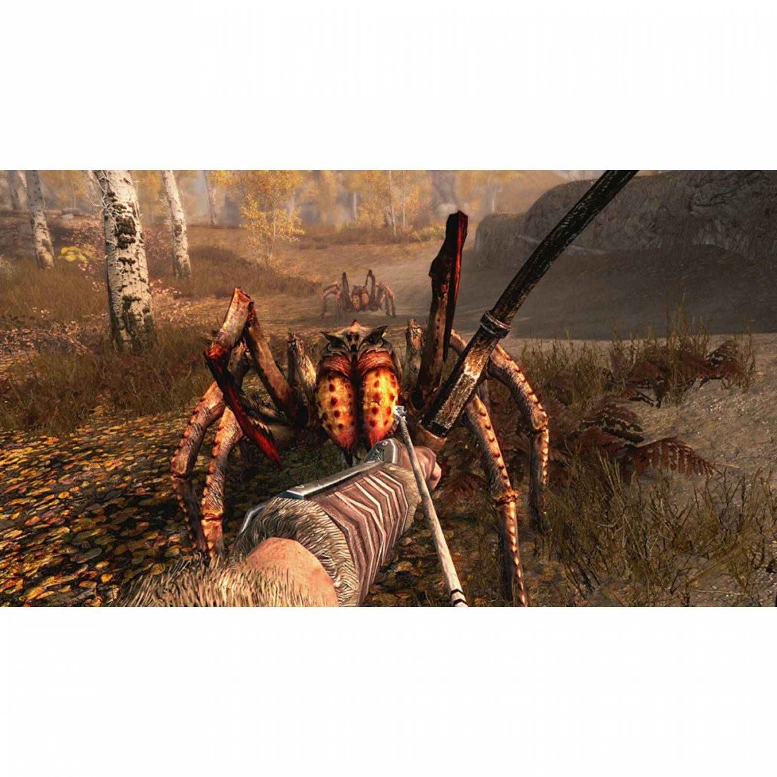 The Elder Scrolls V: Skyrim para Nintendo Switch