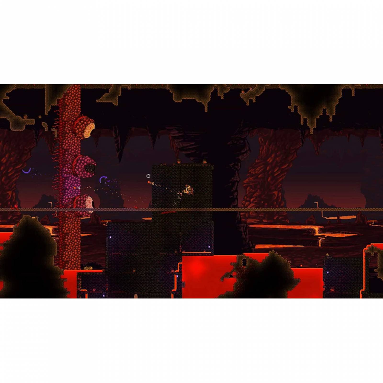 Terraria para Nintendo Switch