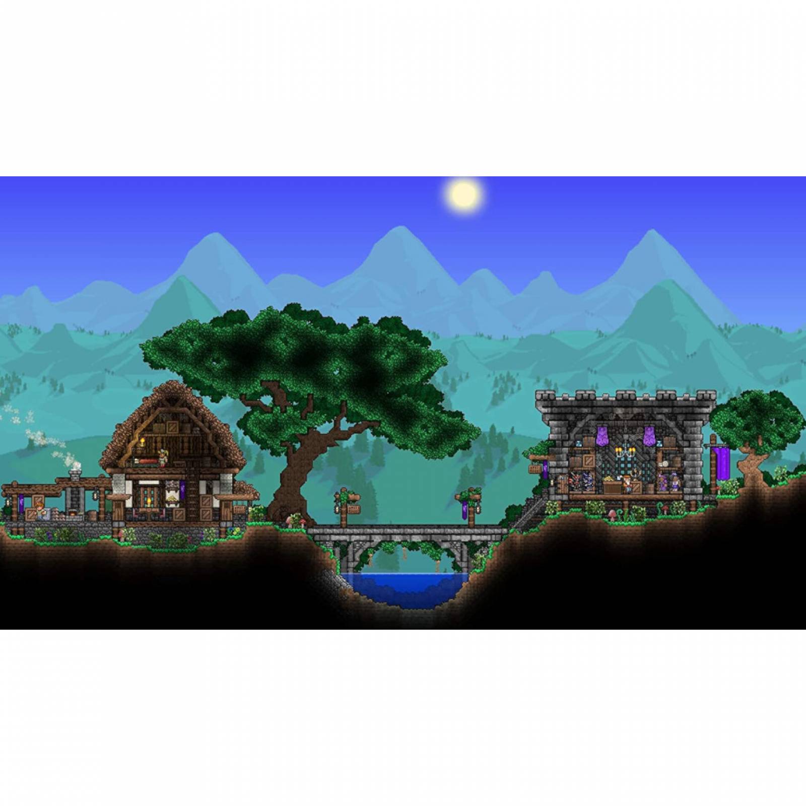 Terraria para Nintendo Switch