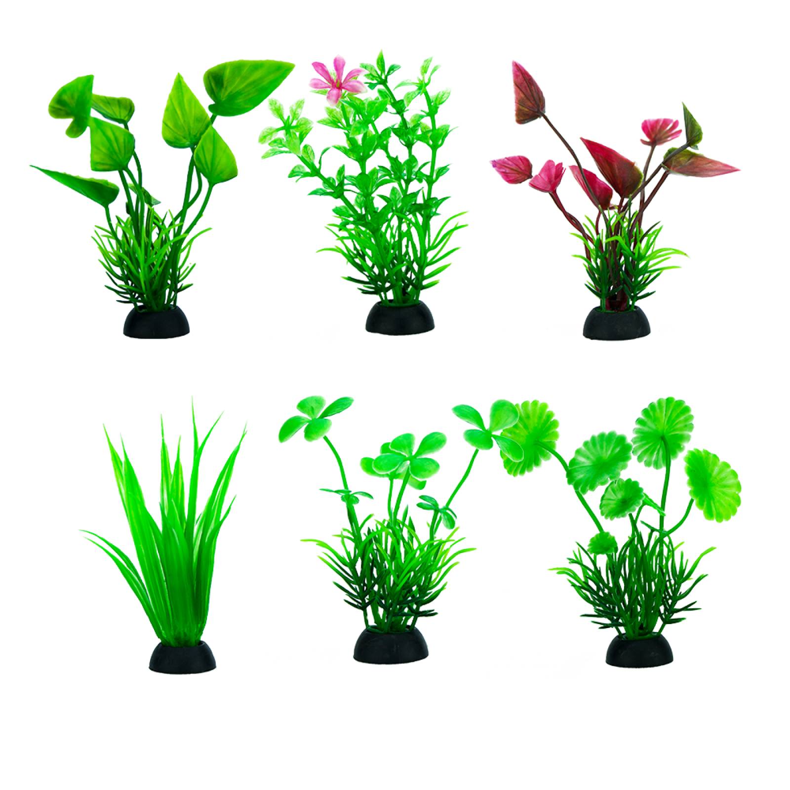 Planta P/Acuario 7.5 Cm - 6 Pz
