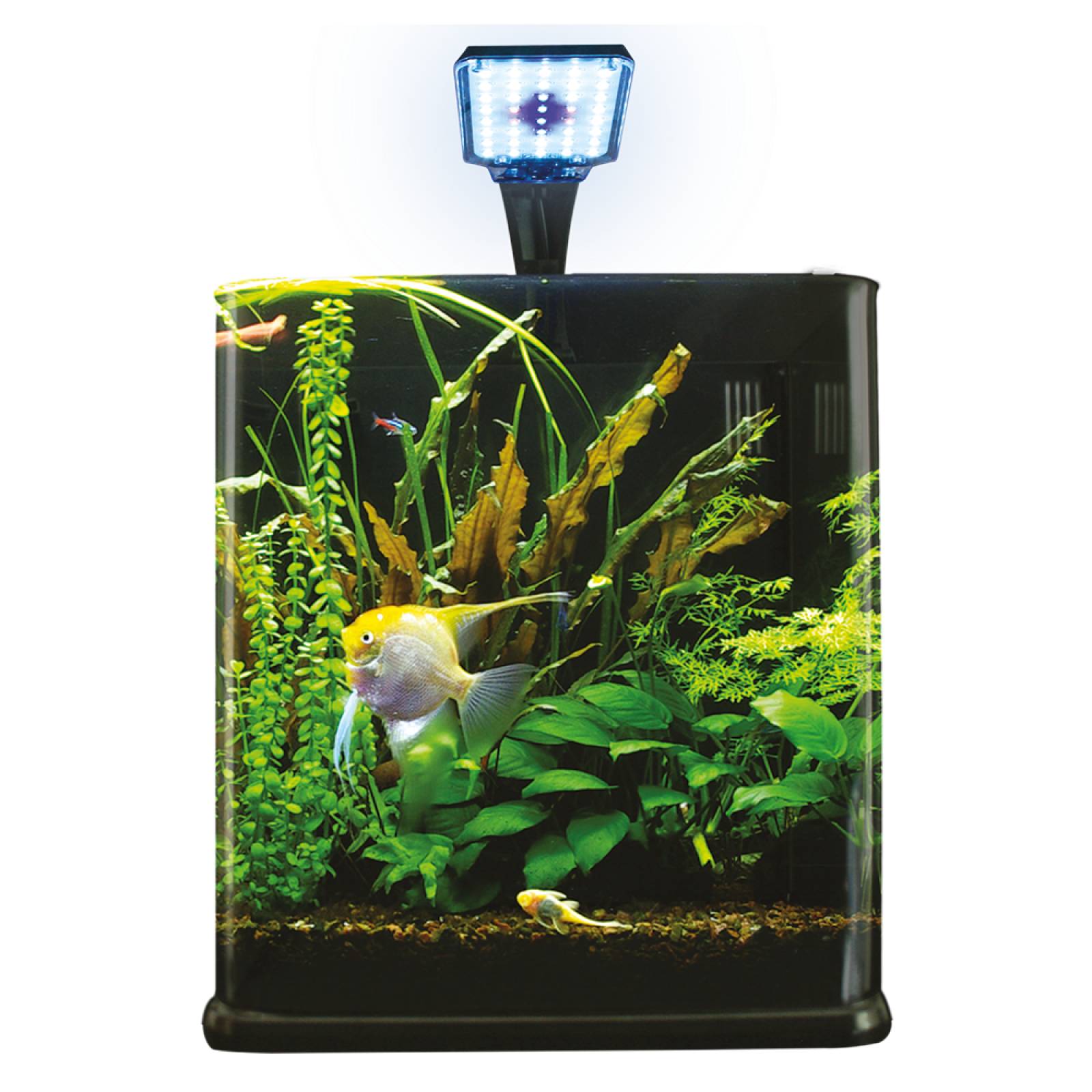 Acuario Nano Cubo 9 L