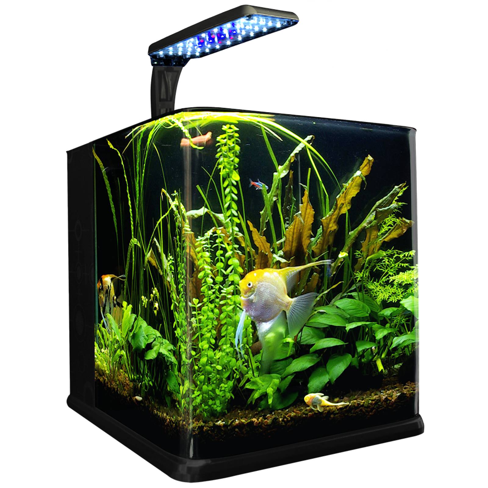 Acuario Nano Cubo 9 L