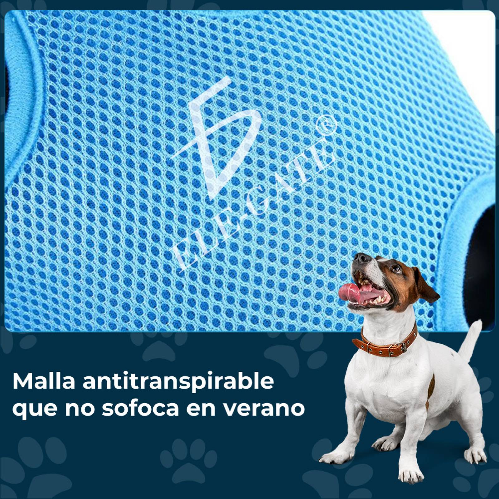 Mochila Porta Mascotas Transpirable y Portátil - Comodidad y Estilo para Tus Aventuras con tu Mascota