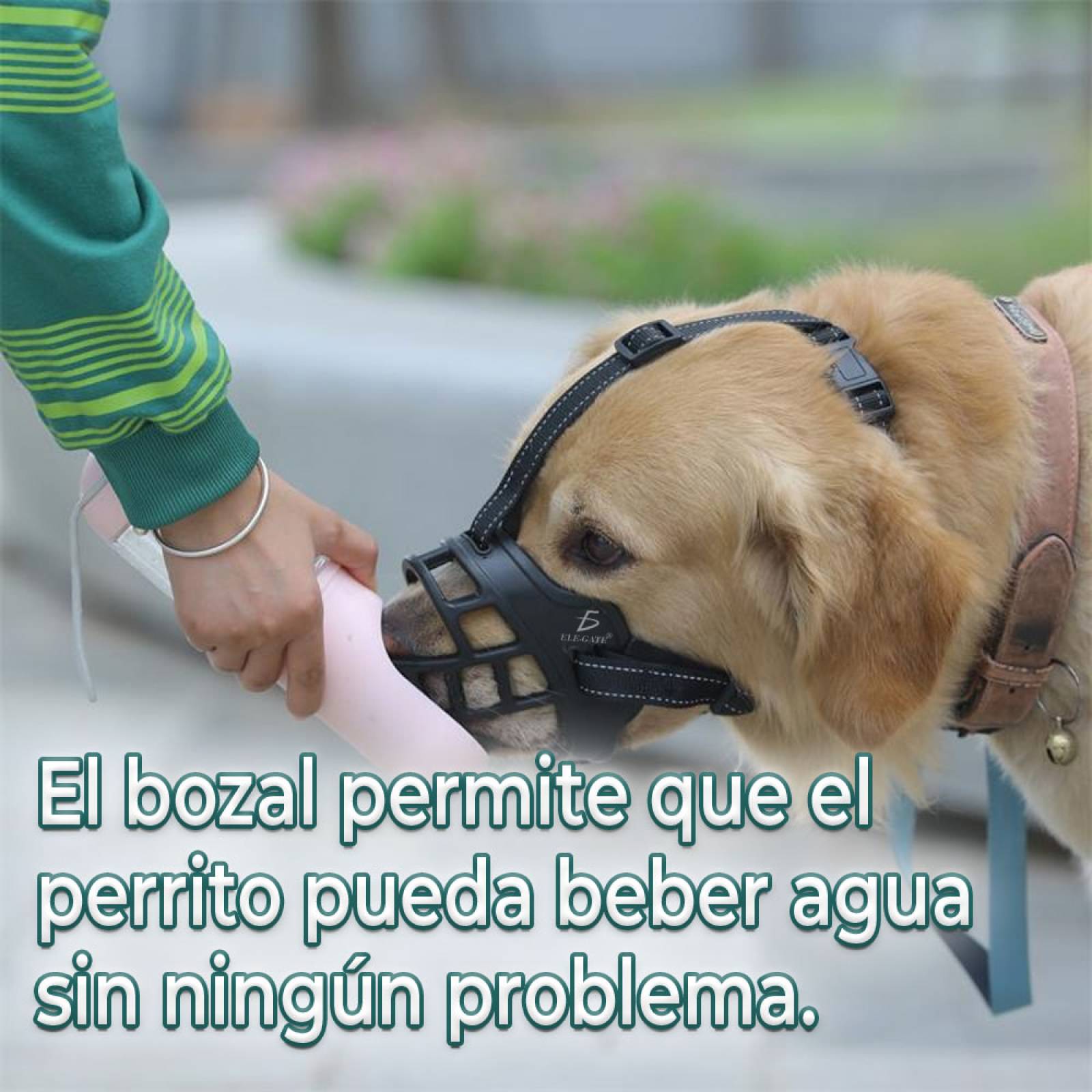 Bozal de Silicona Transpirable para Perros Grandes - Control Efectivo y Comodidad