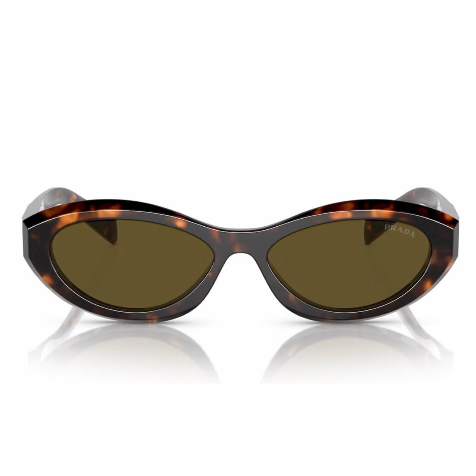 Prada SPR 26Z-F 14L-09Z Symbole Square Shape Tortoise