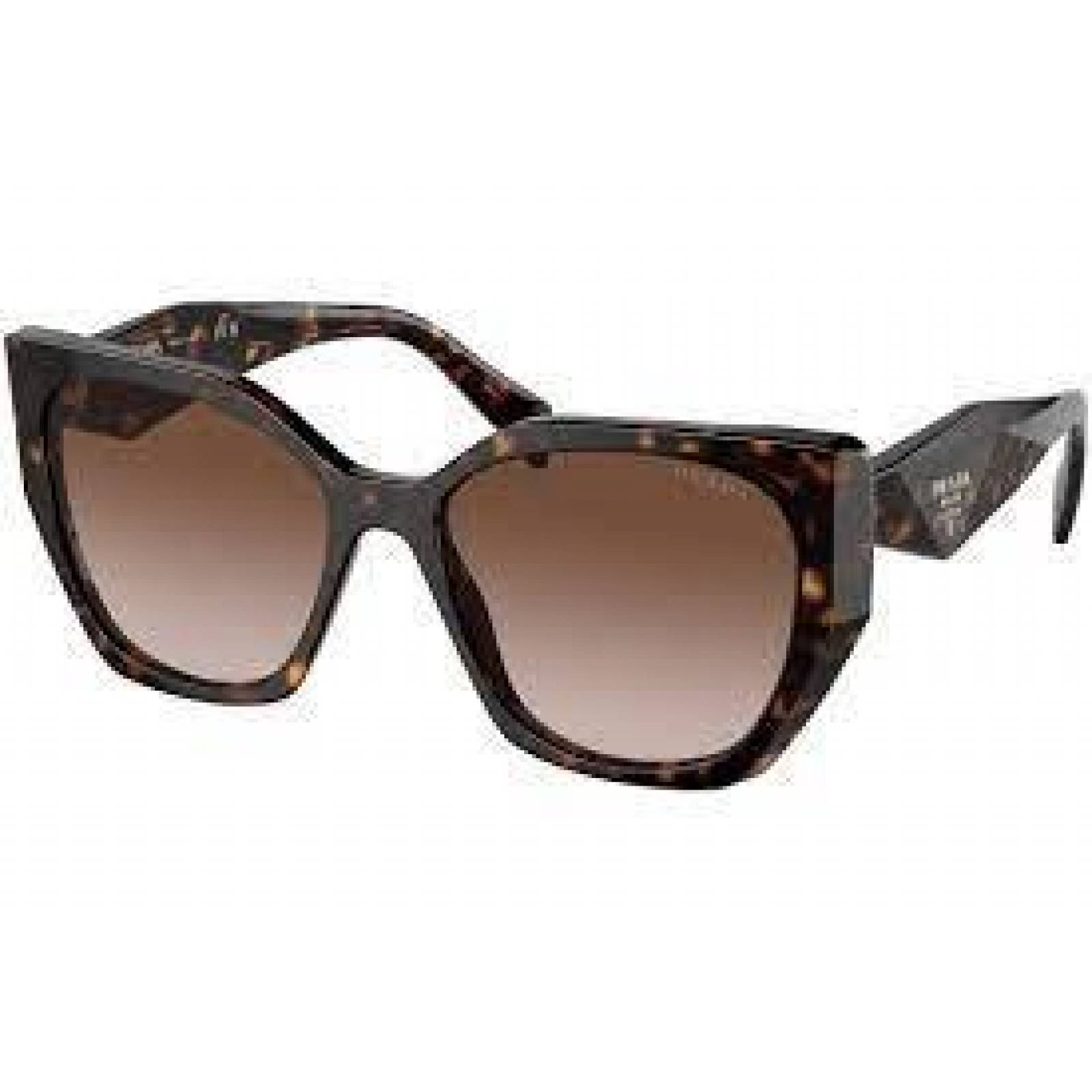 Prada SPR 19Z 2AU-6S1 Square Shape Carey Cafe Degradado