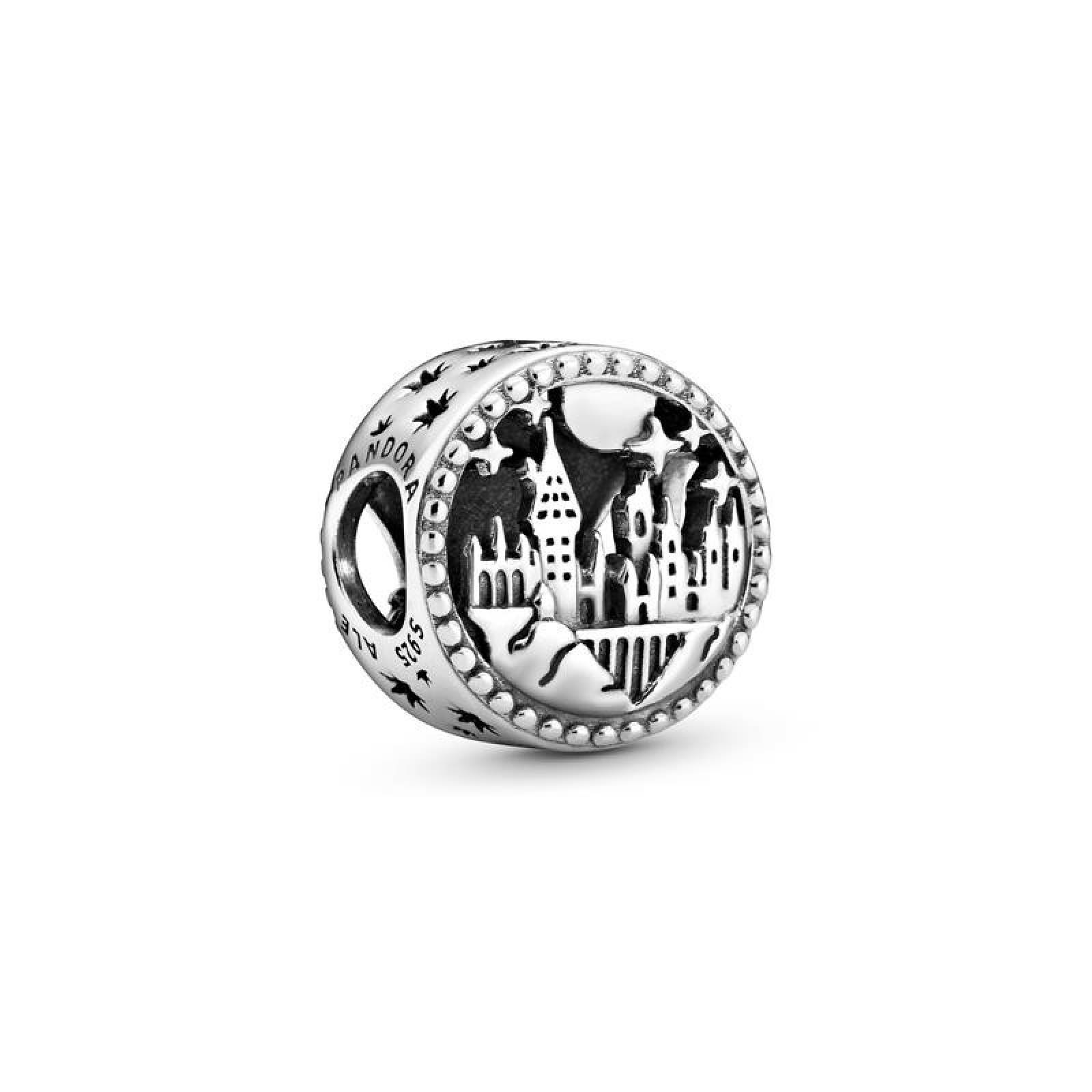 Harry Potter, Charm del Colegio Hogwarts de Magia y Hechicería 798622C00