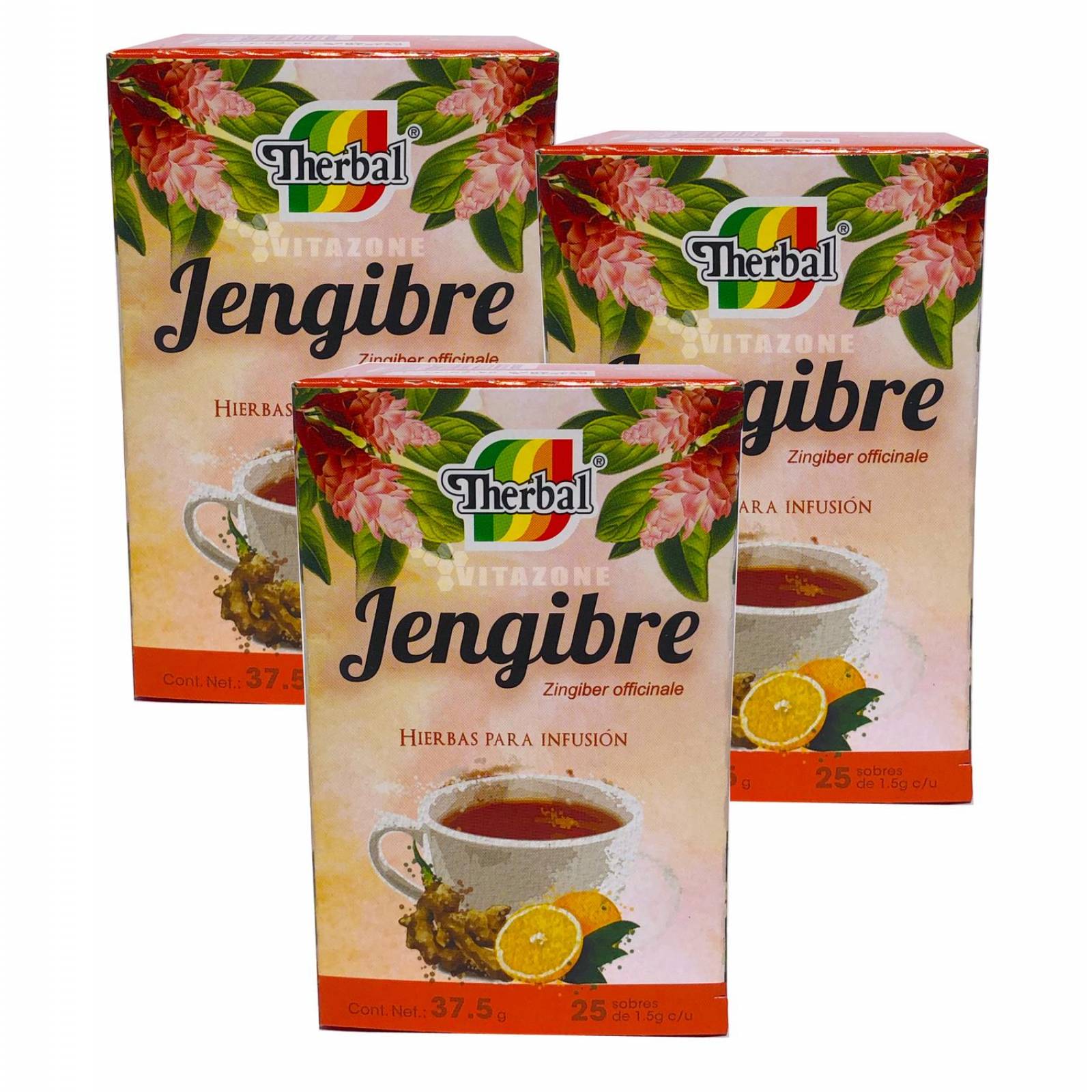 Té de Jengibre 25 sobres Therbal (3 CAJAS)