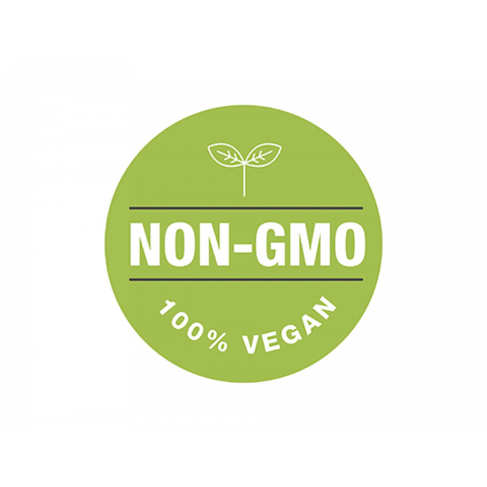 Elderberry (Sauco) 60 cápsulas veganas Solaray