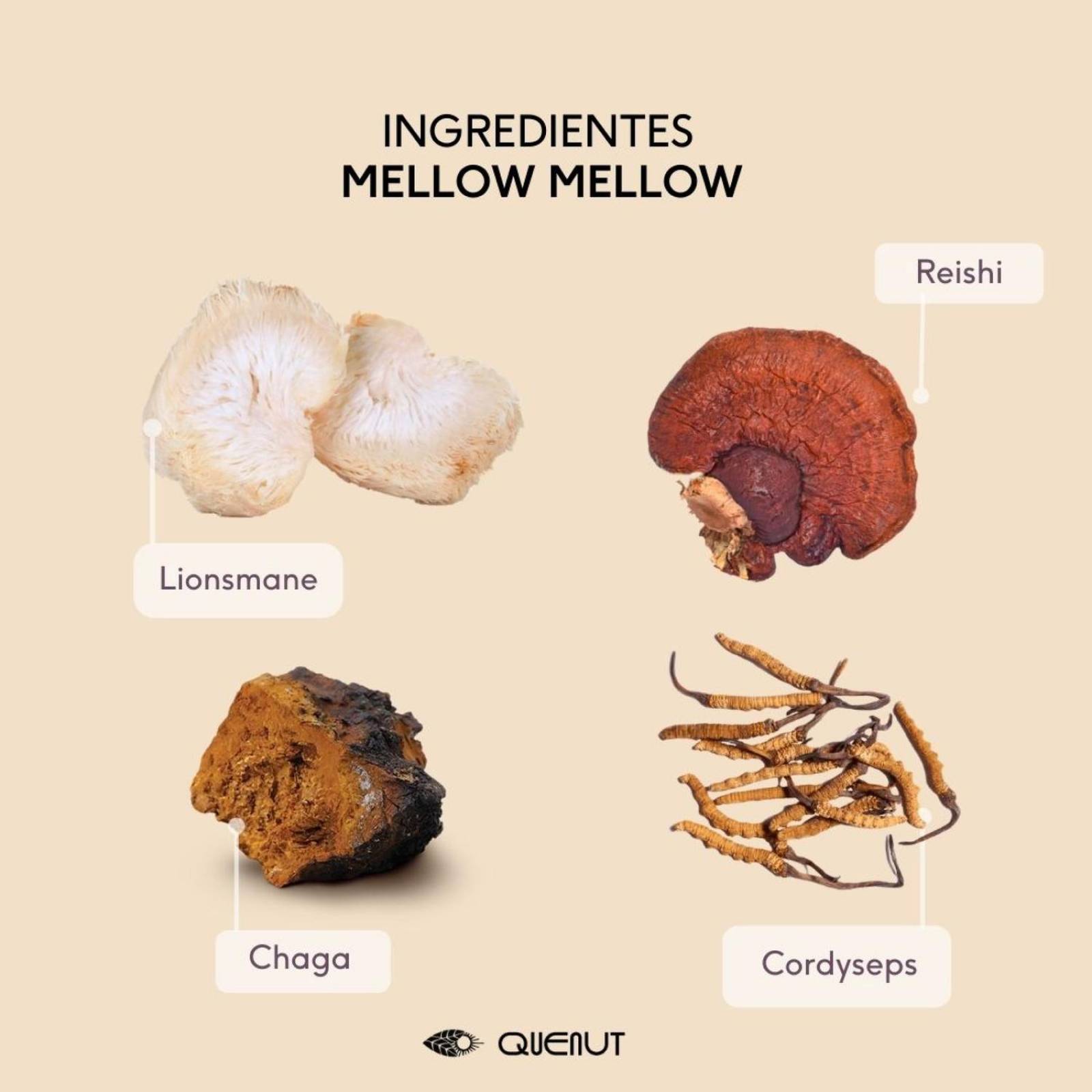 Mellow Mellow antiestrés hongos adaptógenos 350 g Quenut