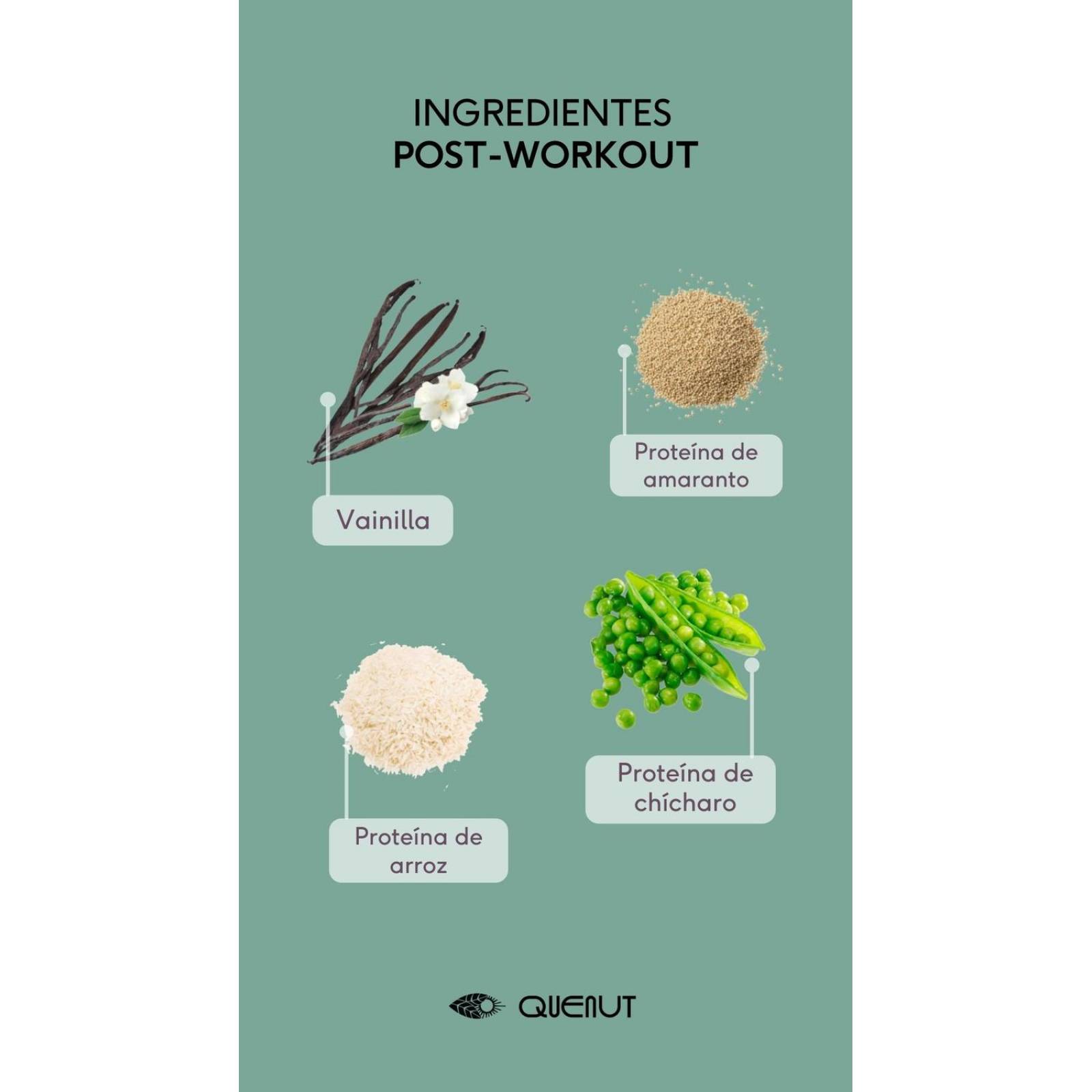 Proteína Vegana Vainilla 1 kg Glutamina Creatina BCAA Quenut 