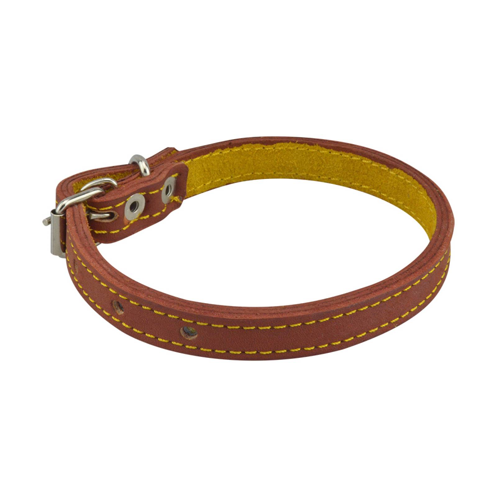 5 Collares De Piel Para Perro, No.6, Gimex