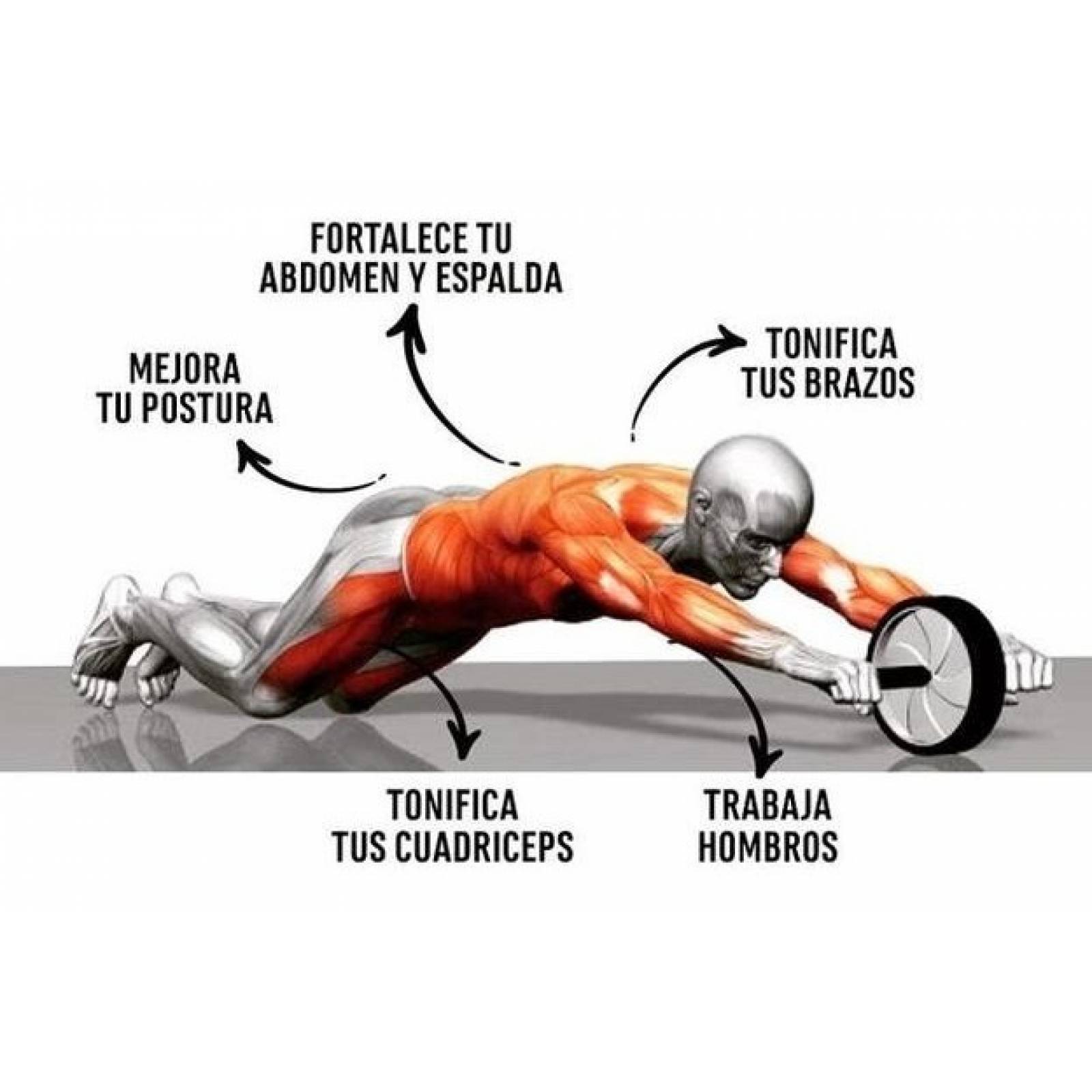 Rueda Abdominal Entrenamiento En Casa + Tapete De Regalo