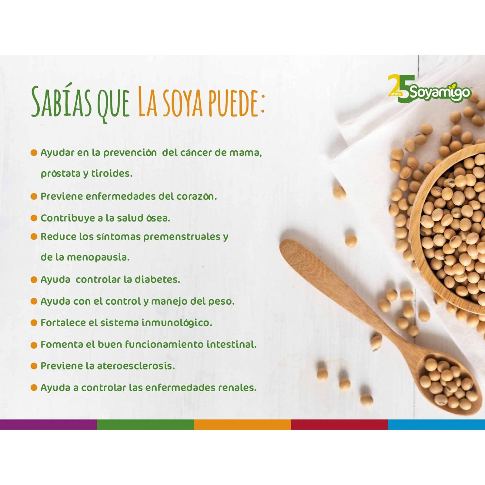 Paquete de 6 piezas Mix Soyamigo (un producto de cada sabor) | Proteína 100% vegetal | Sin conservadores, sin colesterol, sin grasas trans
