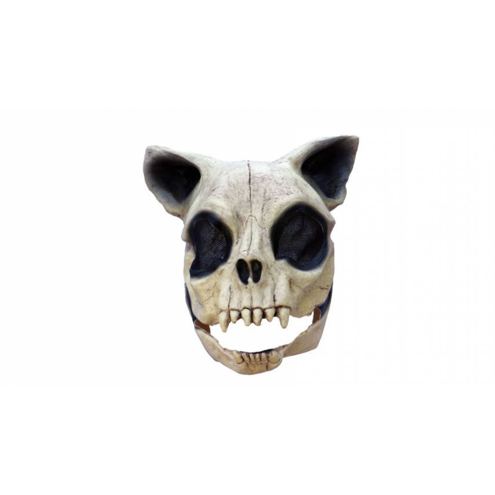 Máscara de latex de Cráneo de gato - Cat skull