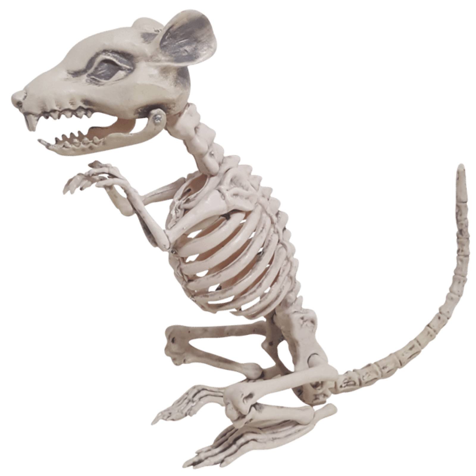 Decorativo Esqueleto de rata sentada - Sitting Rat Skeleton