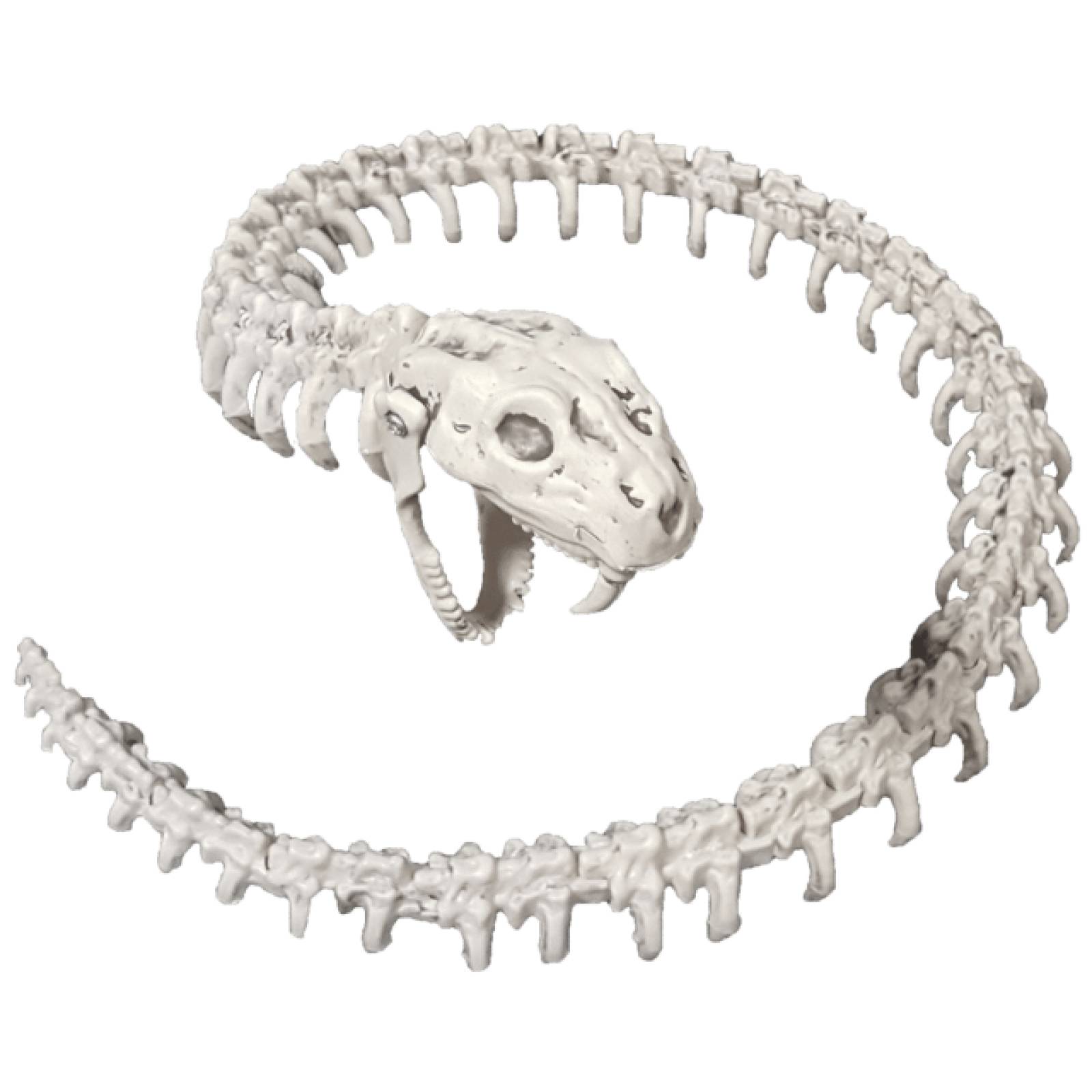 Decorativo Esqueleto de serpiente - Snake Skeleton