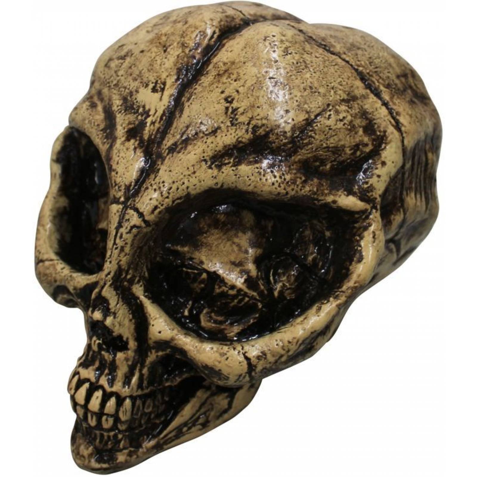 Máscara de latex de Cráneo de resina alienígena - Alien Resin Skull