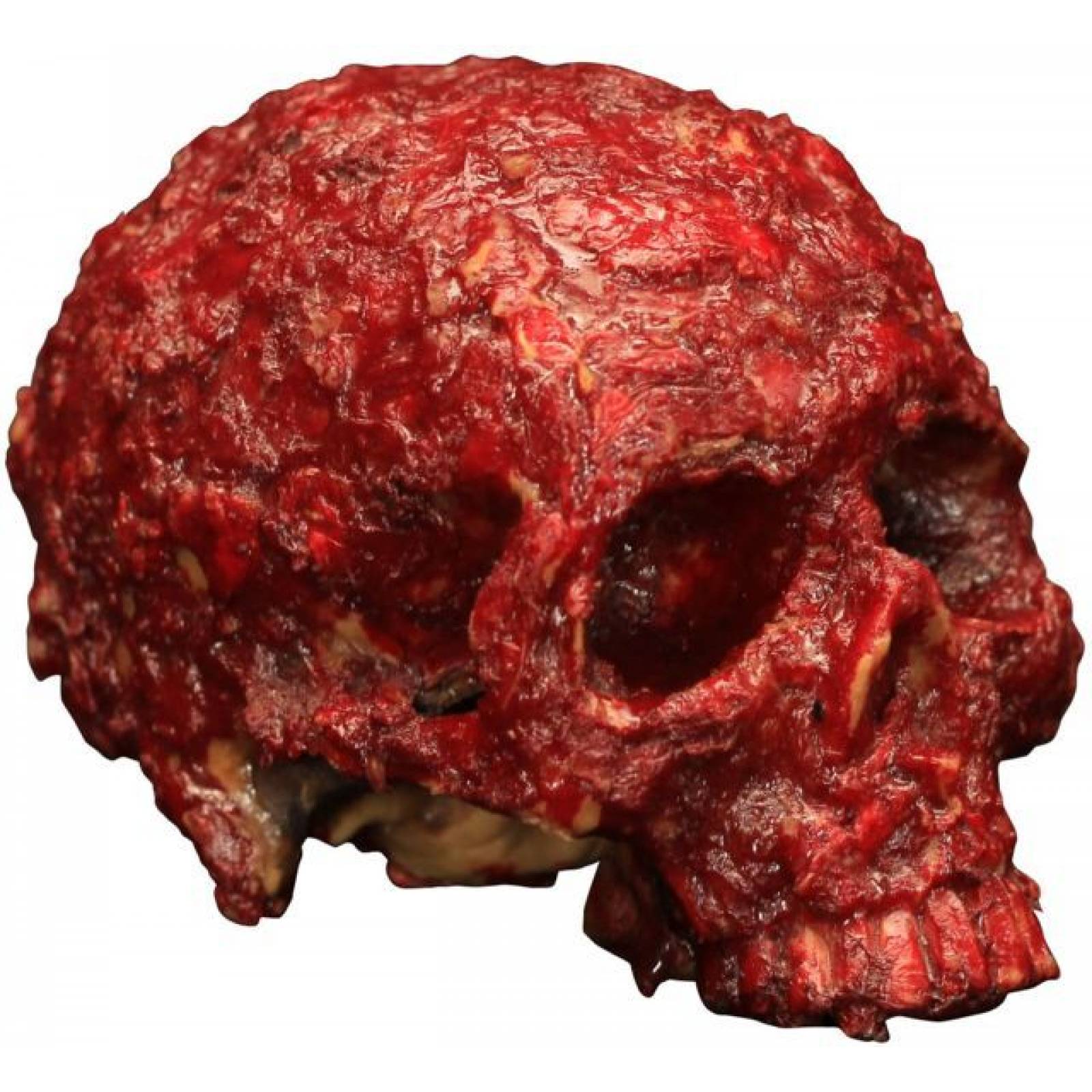 Máscara de latex de Cráneo de resina con costra de sangre - Resin skull with blood crust