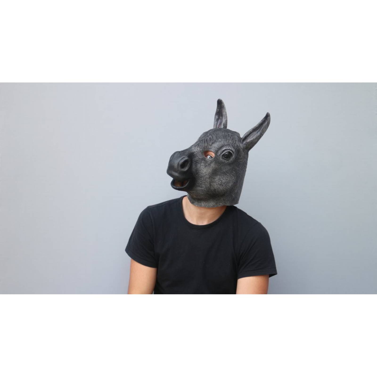 Máscara de latex de Burro - Donkey