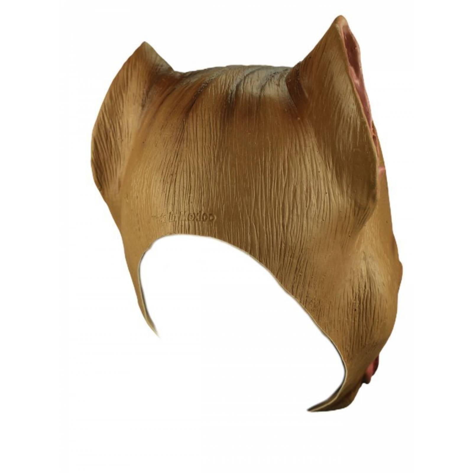 Máscara de latex de Pitbull - Pitbull