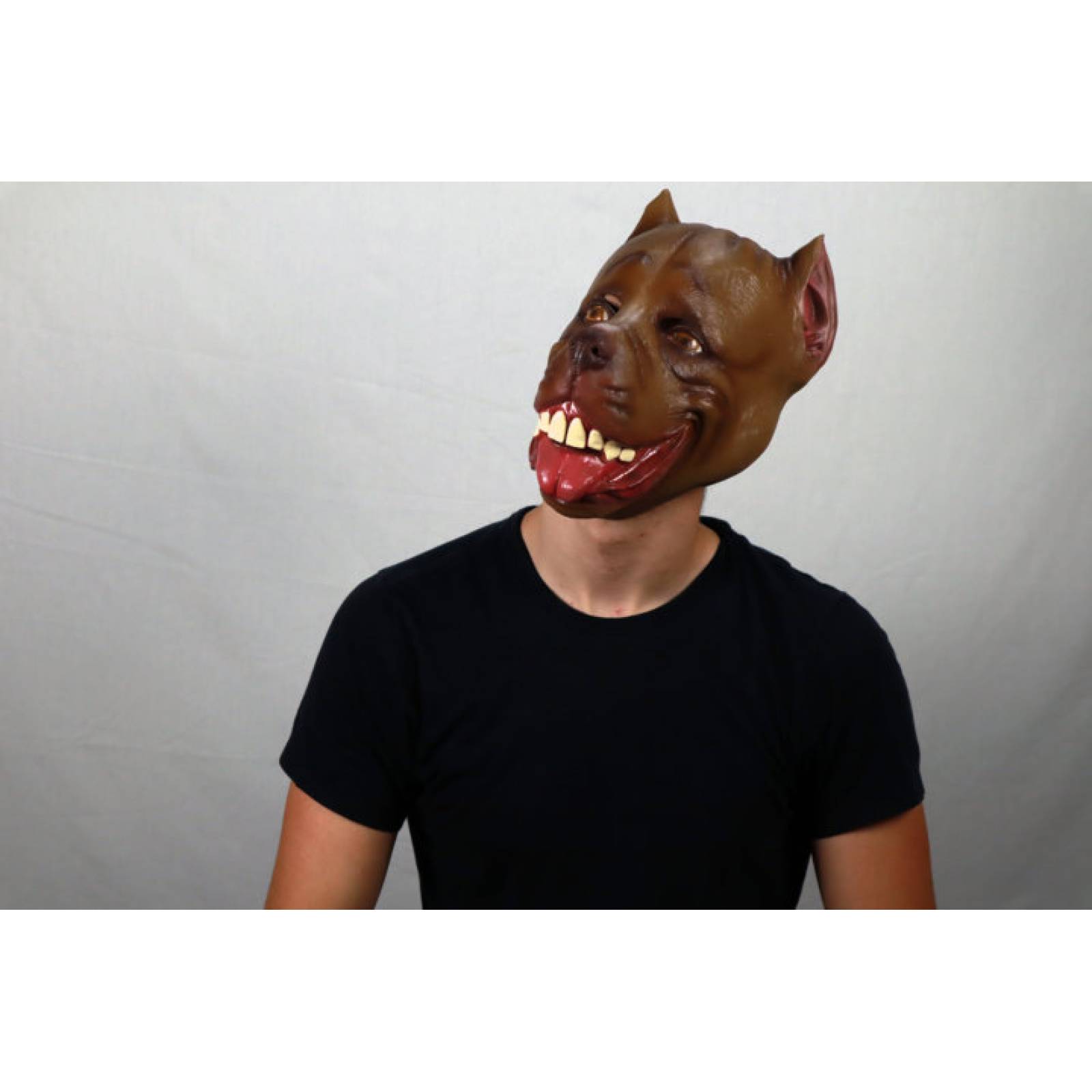 Máscara de latex de Pitbull - Pitbull