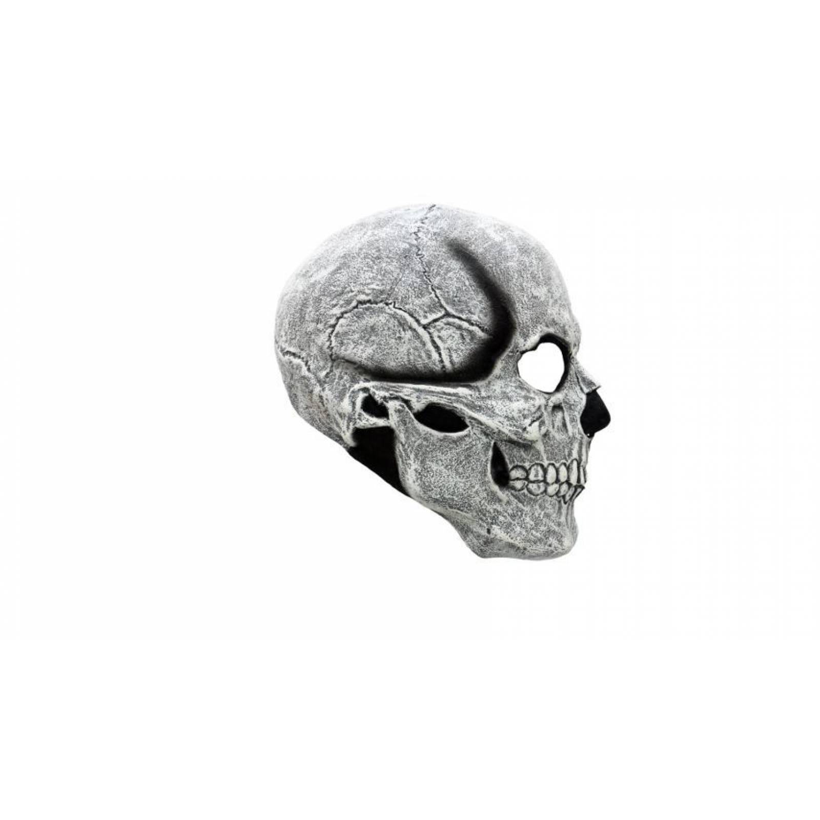 Máscara de latex de Calavera blanca - White skull