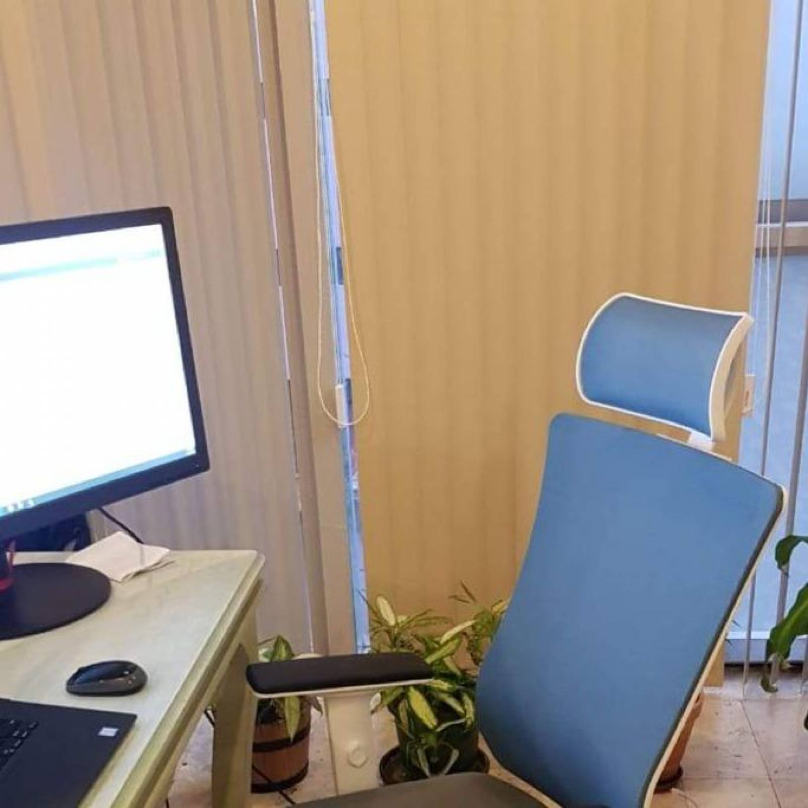 Silla de Oficina Ergonómica Steller
