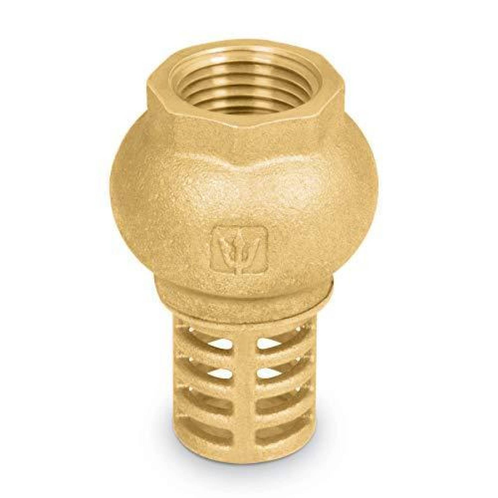 Pichancha con rejilla de latón 1' 49046 