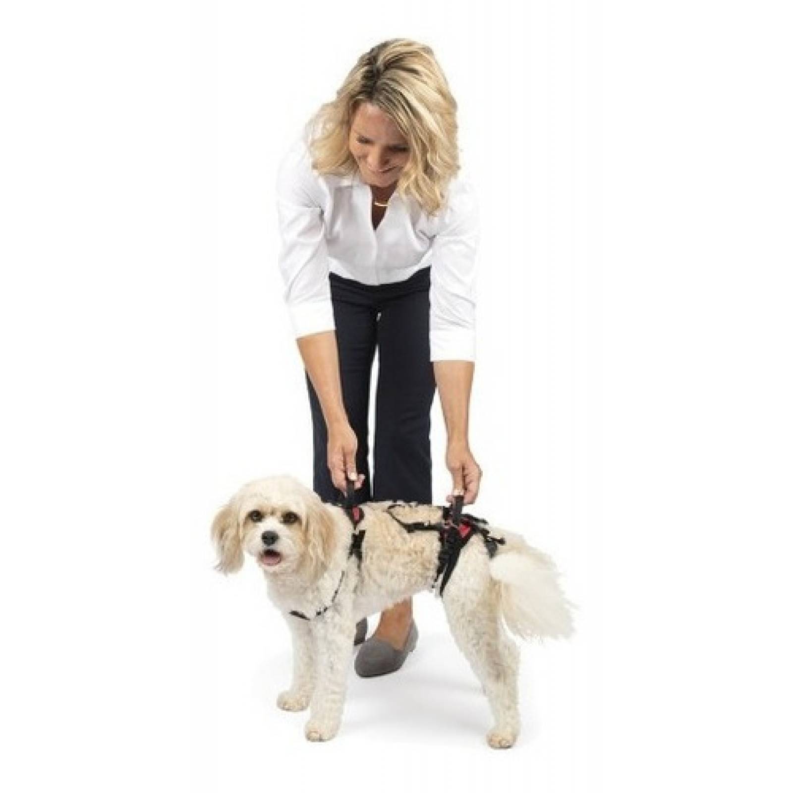 Arnes Para Perros Geriatricos O Con Displasia De Cadera CHICO
