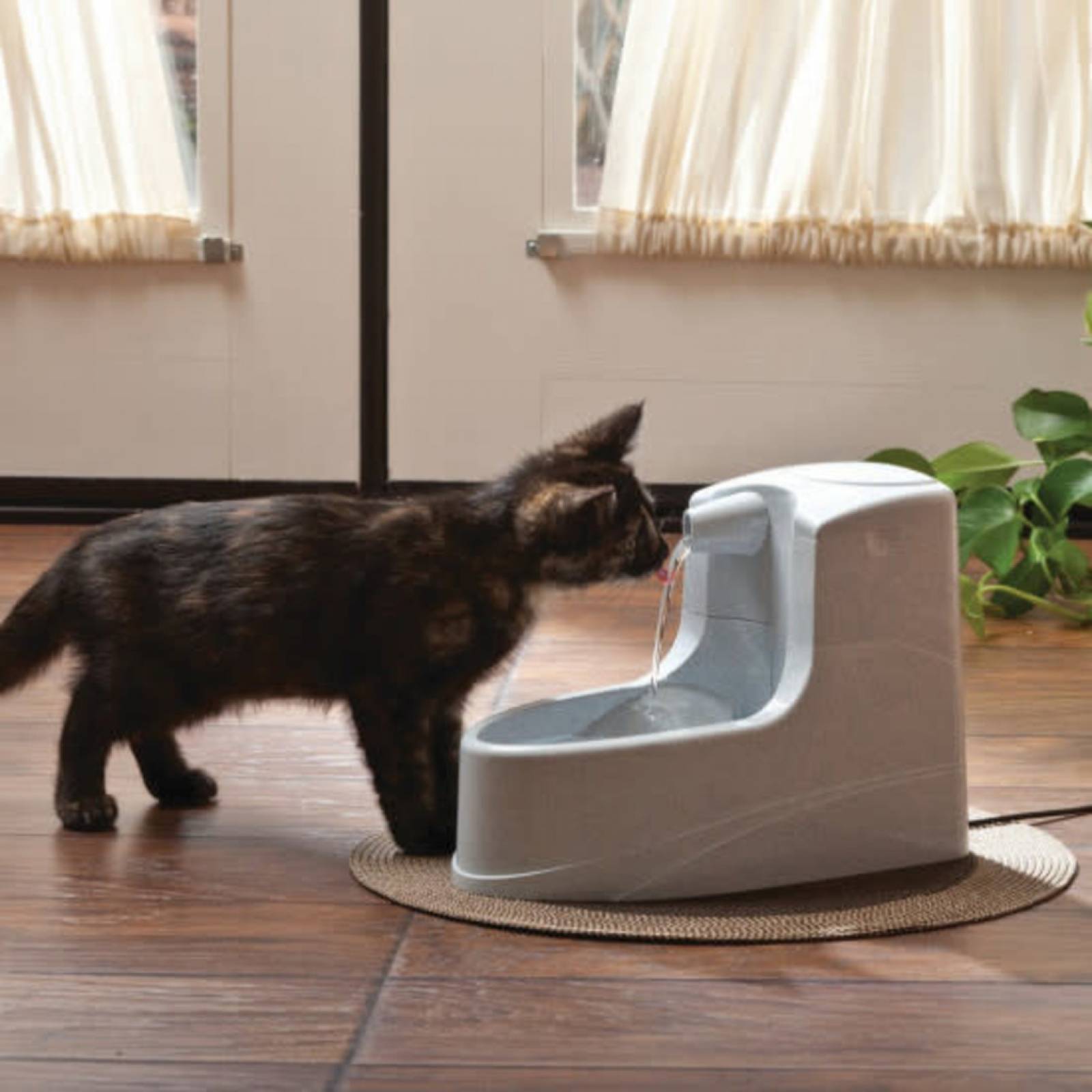 Fuente Drinkwell MINI para Perro o Gato