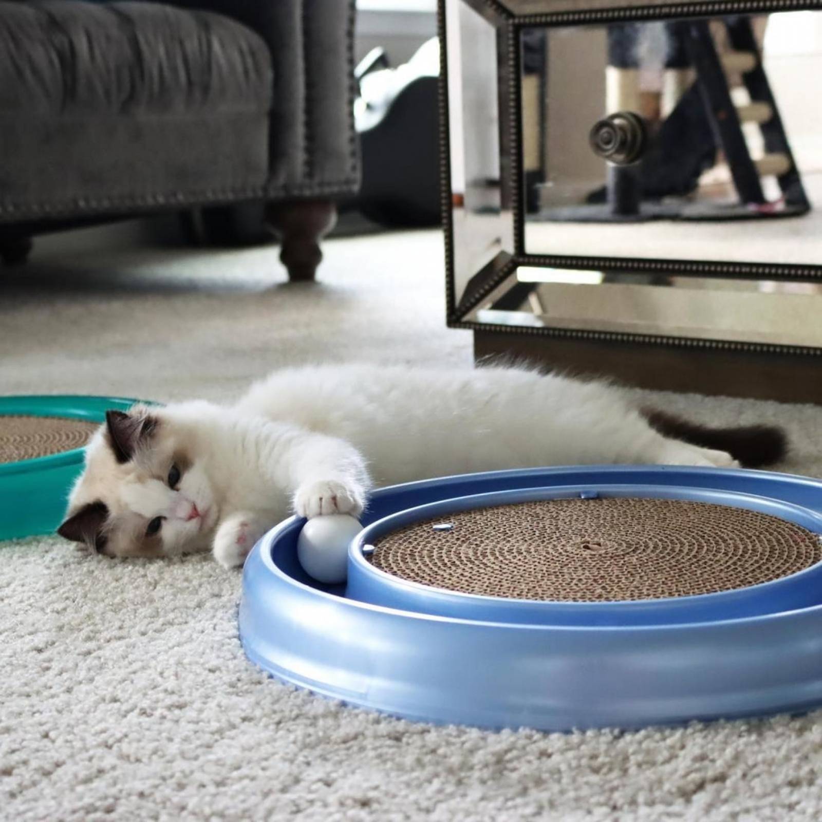 Repuestos Para Turbo Scratcher Y Star Chaser