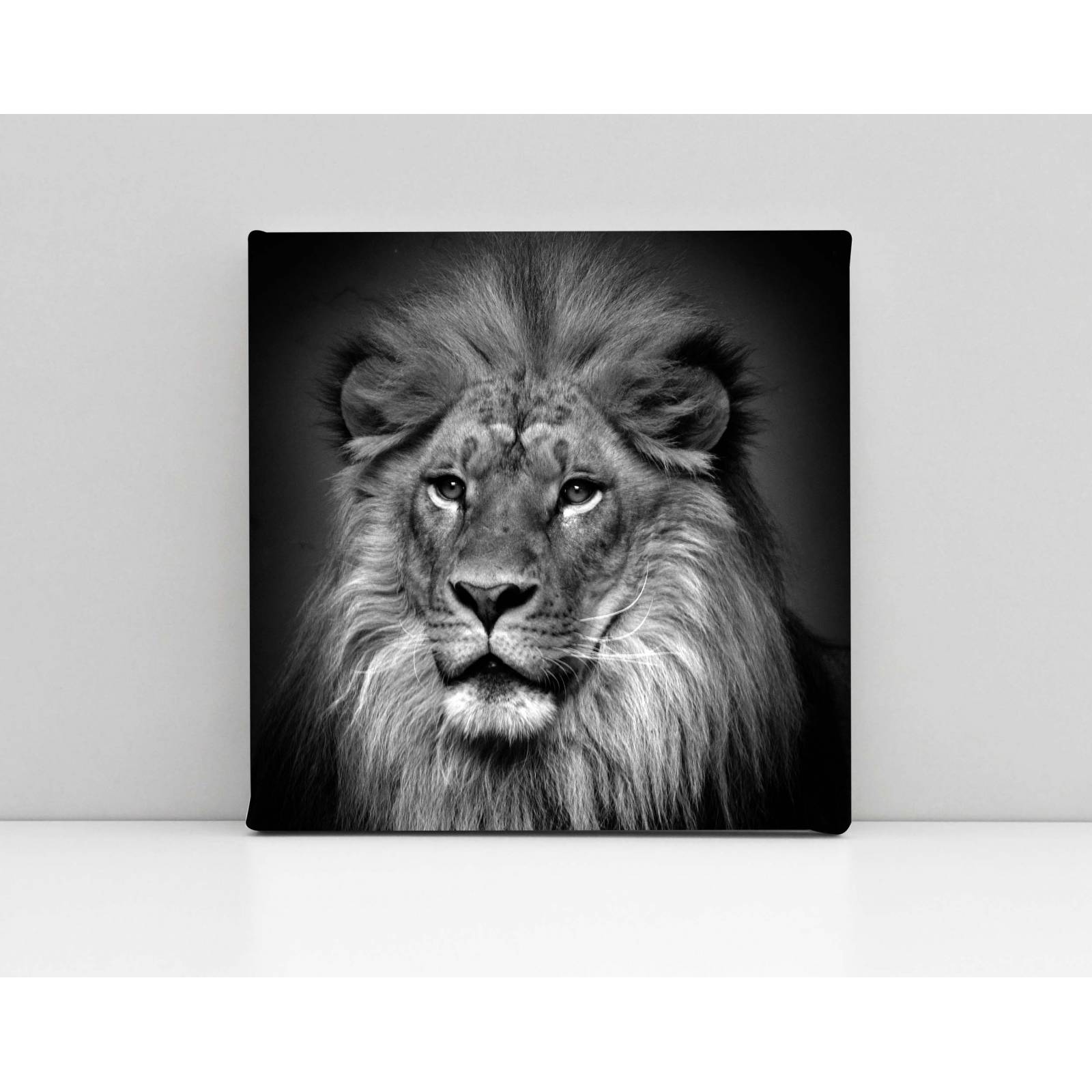 Cuadro Decorativo Canvas León Blanco y negro 100x100