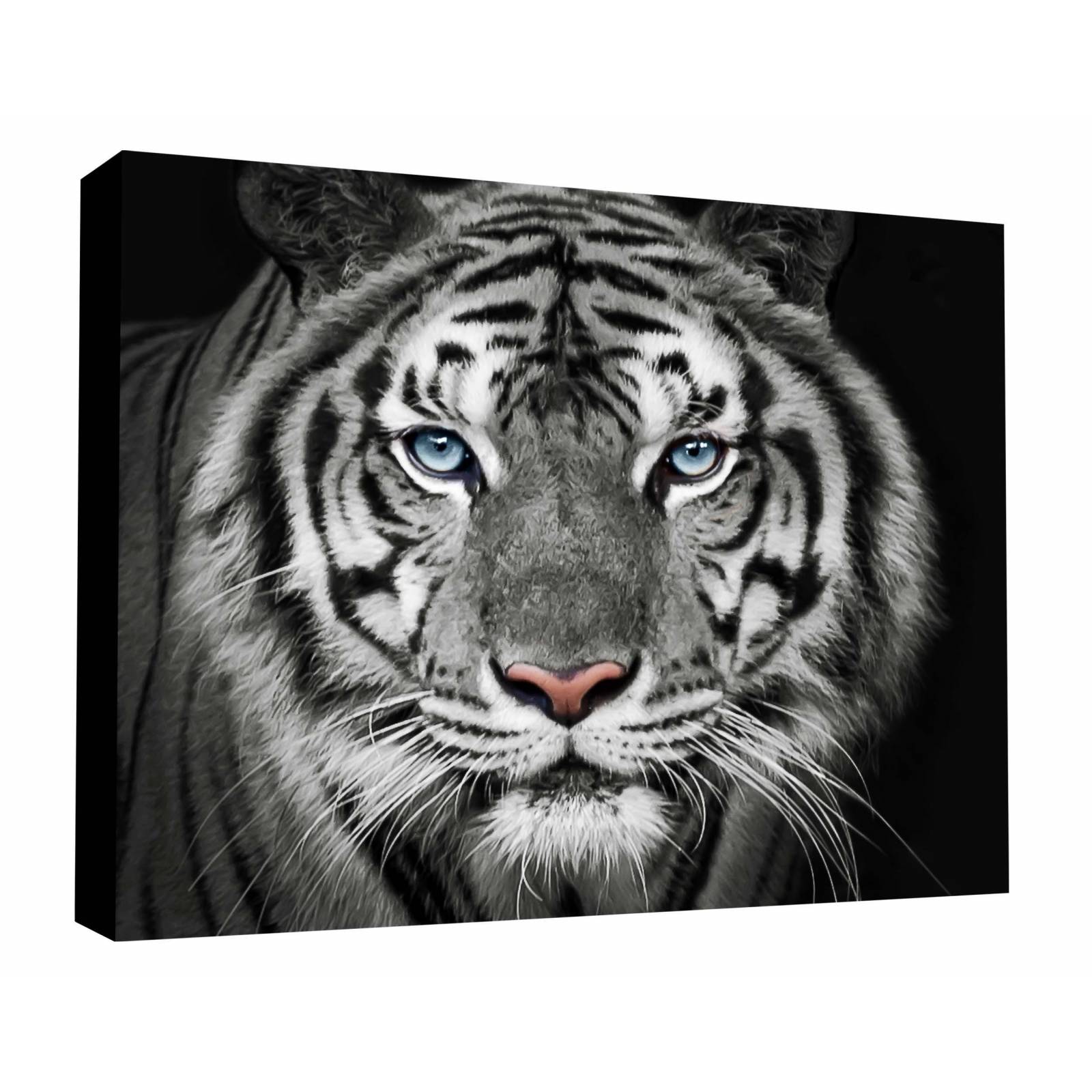 Cuadro Decorativo Canvas retrato de Tigre blanco 75x50