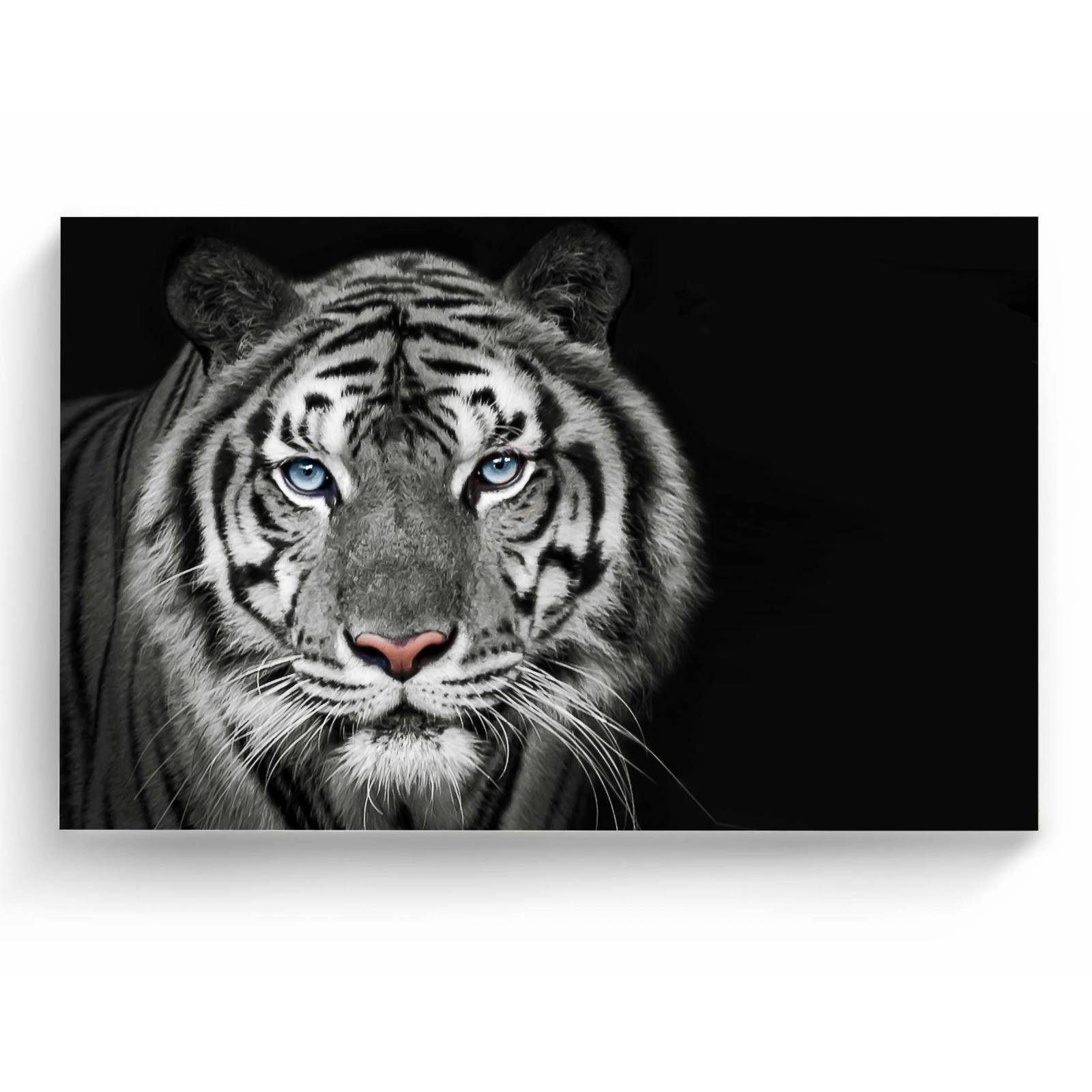 Cuadro Decorativo Canvas retrato de Tigre blanco 75x50